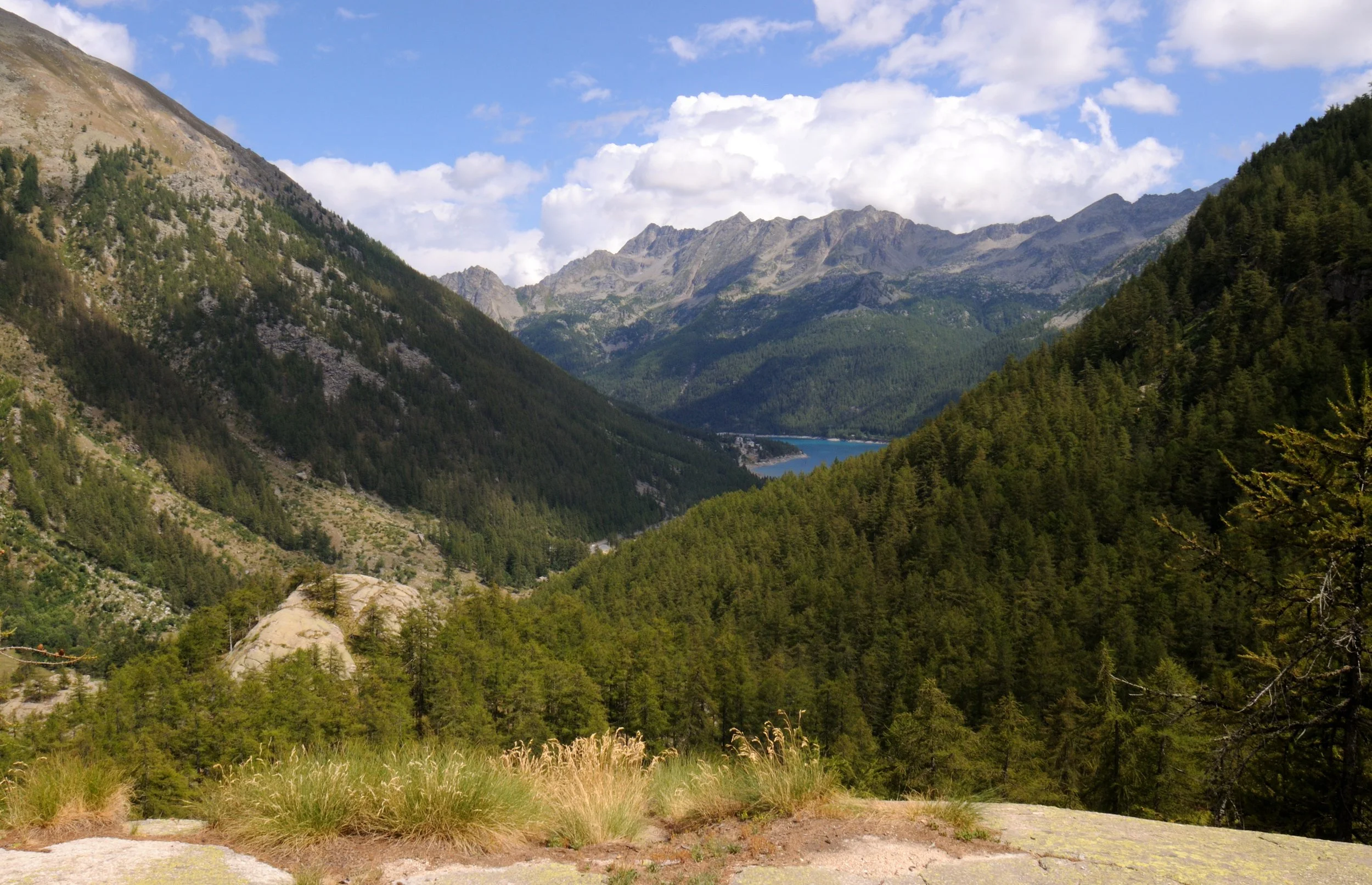 DSC_3431.JPG