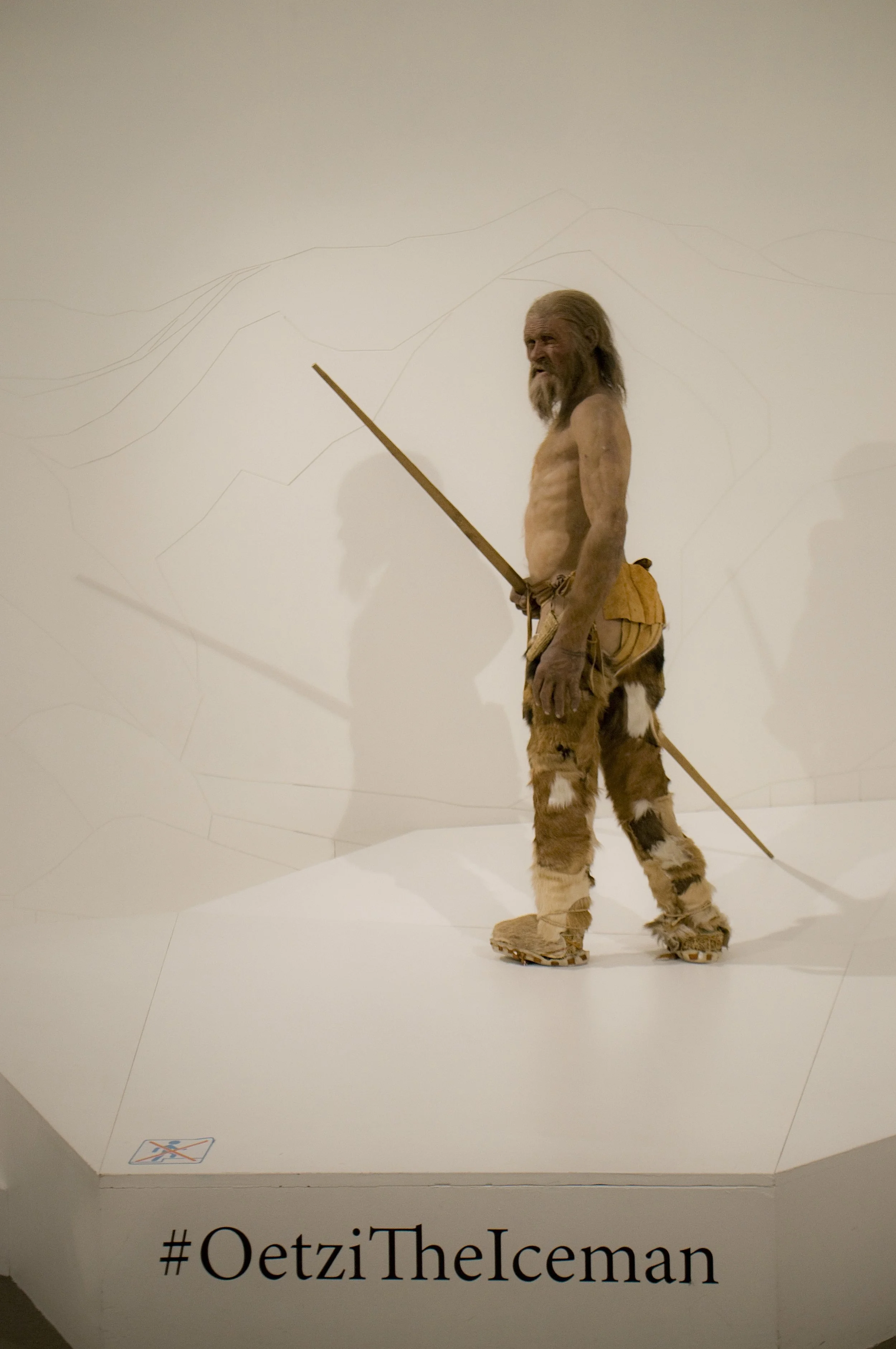 Bolzano/Bozen - Museo Archeologico dell'Alto Adige: riproduzione di Ötzi, l'uomo del Similaun. Nel 1991 due escursionisti tedeschi videro un corpo che affiorava dal ghiaccio. Non si trattava di uno sfortunato alpinista ma, come poi fu scoperto, di un