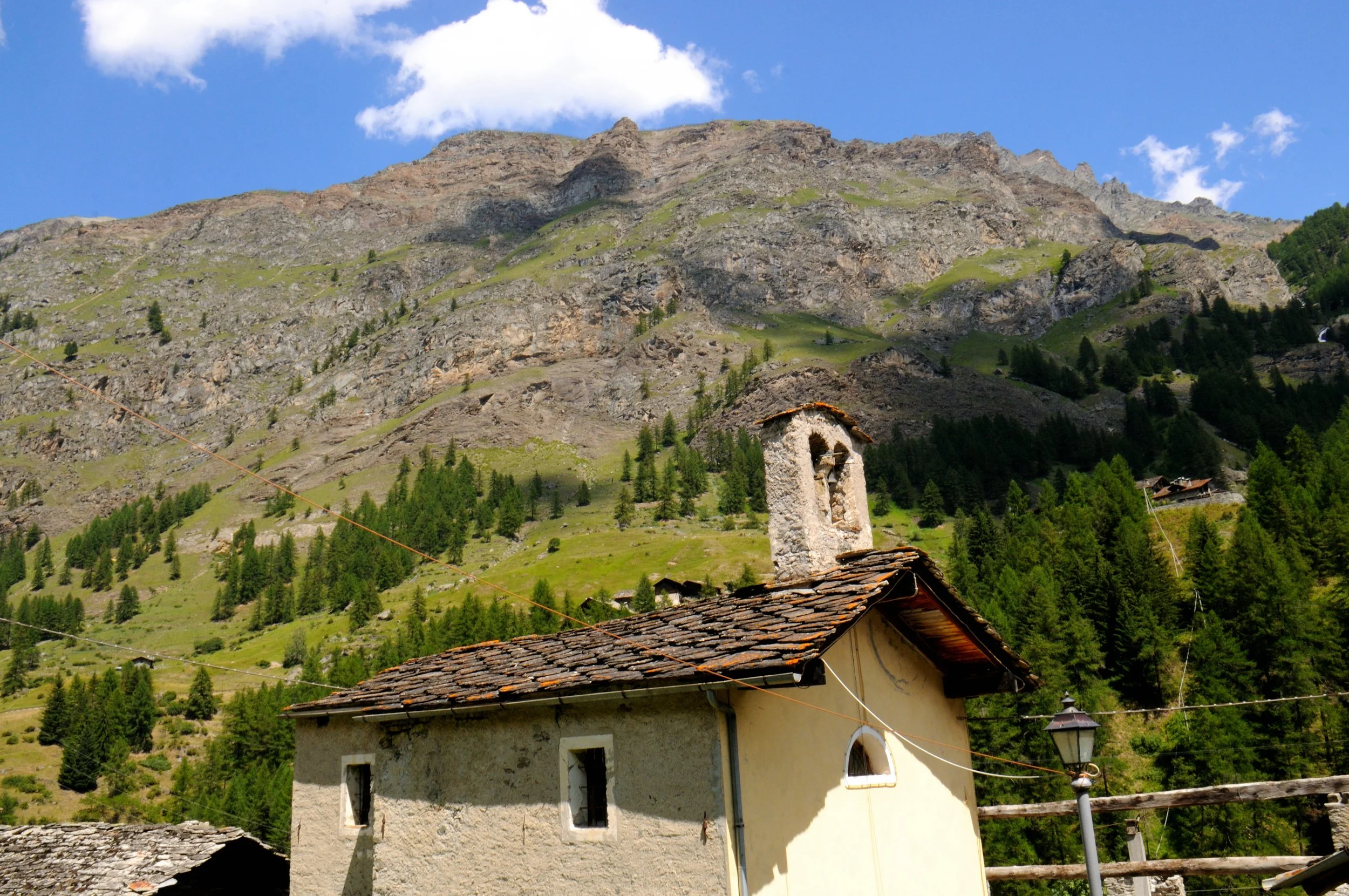 DSC_3203.JPG