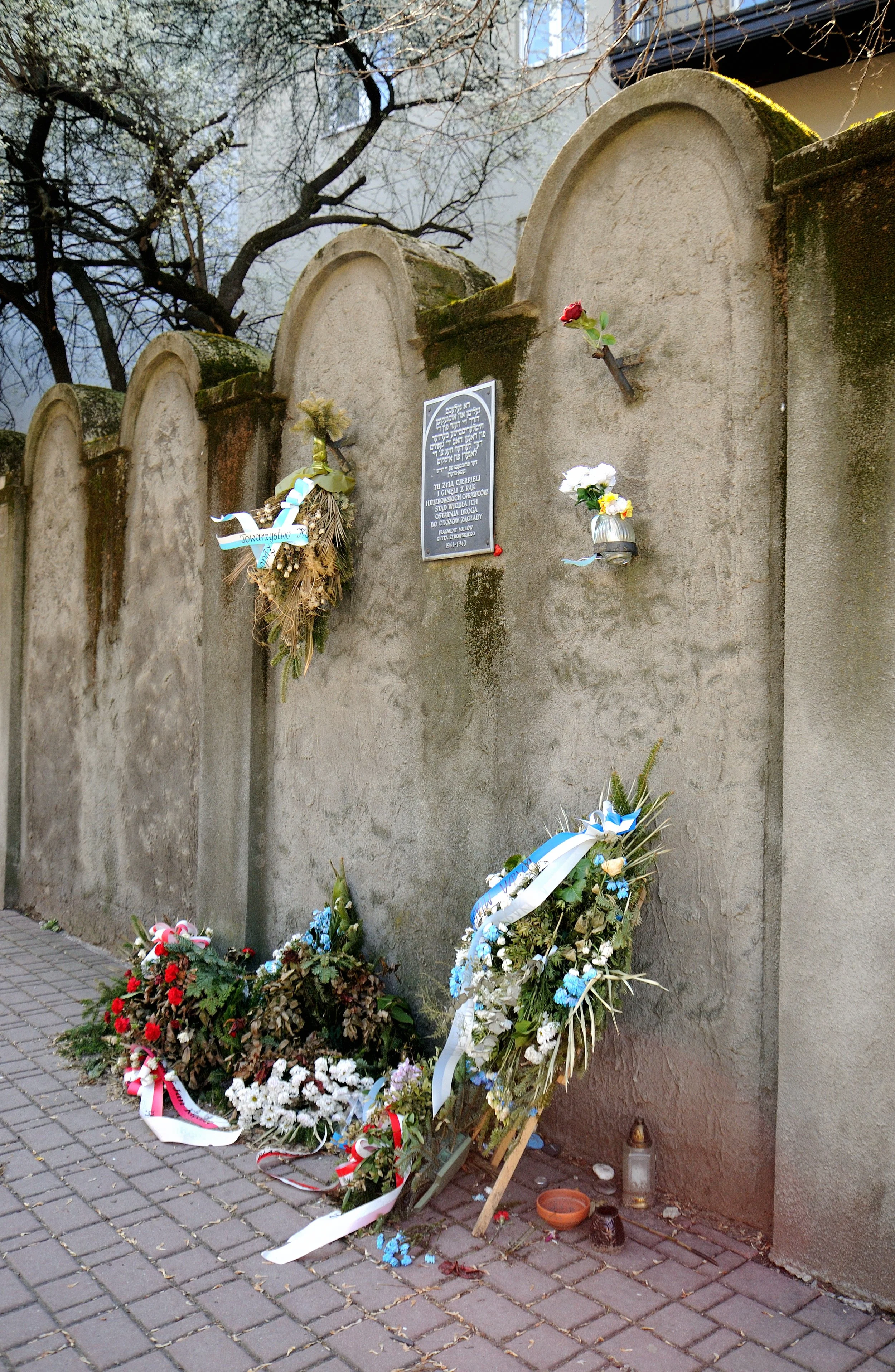 DSC_3022.JPG