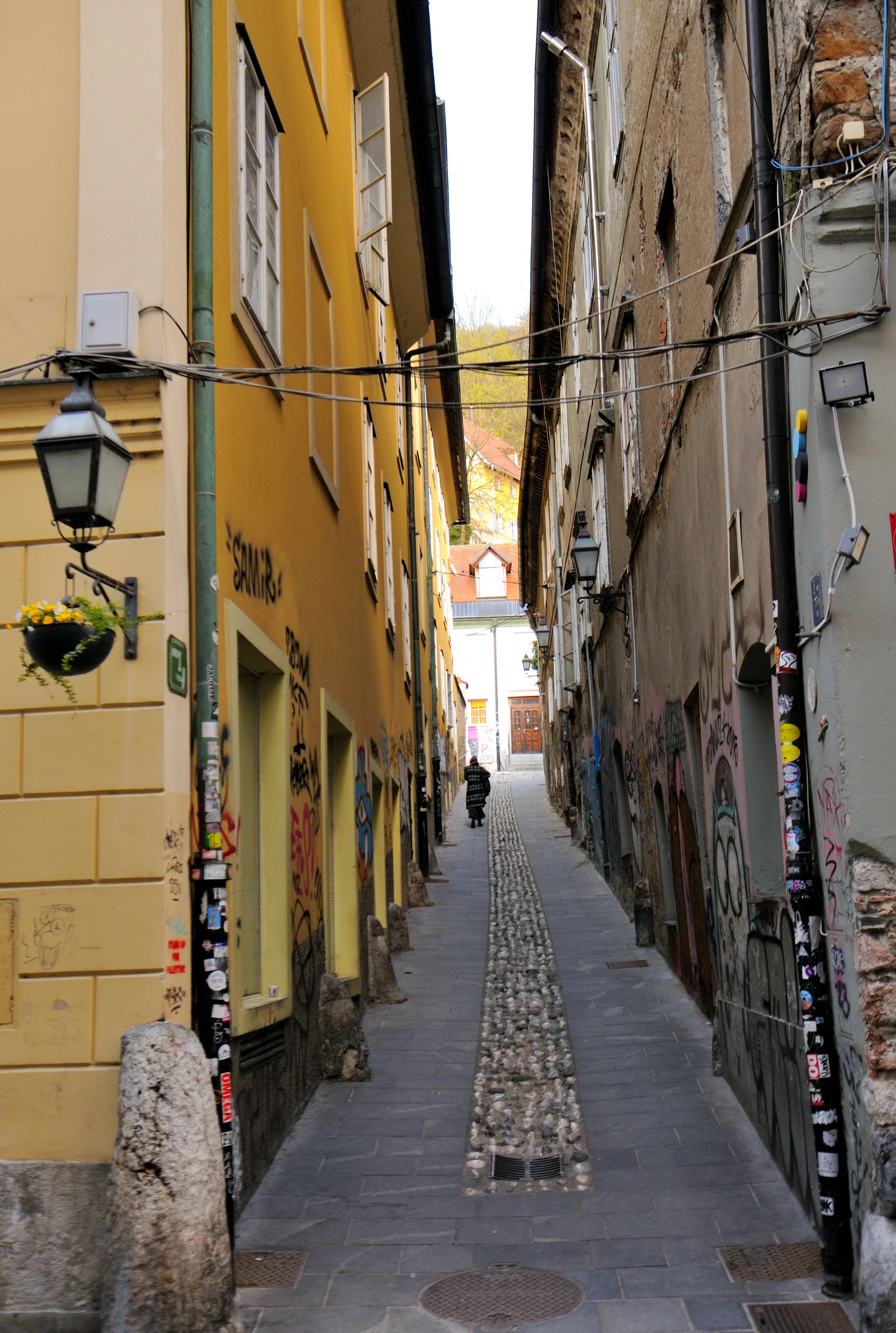 DSC_2923.JPG