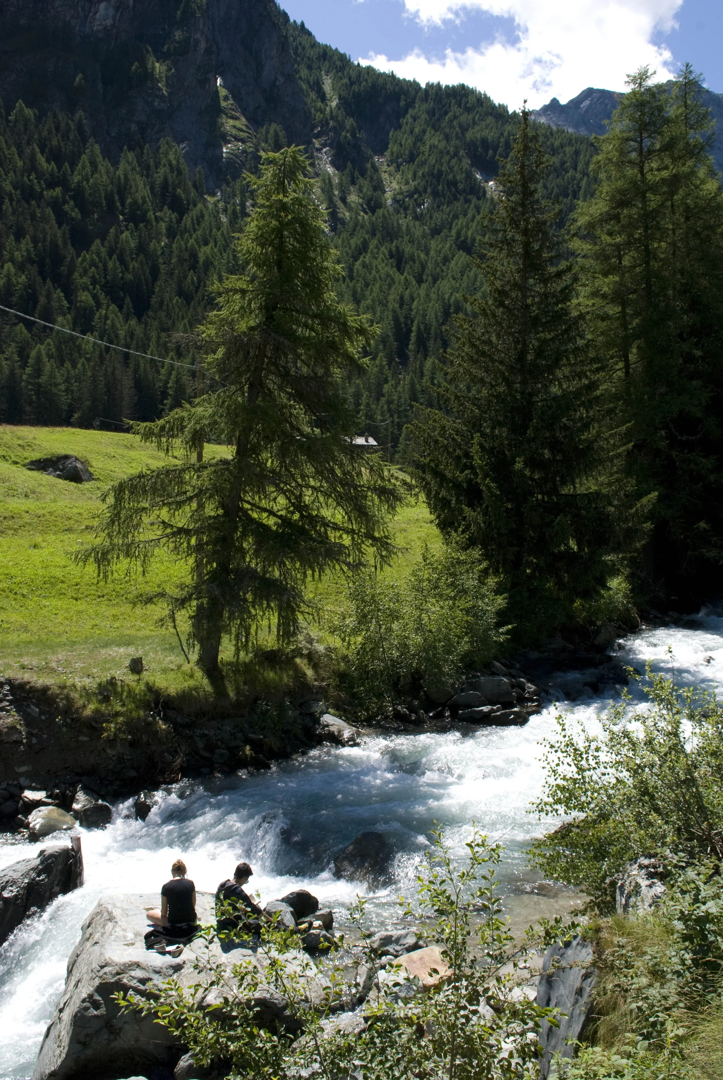 DSC_4519.jpg