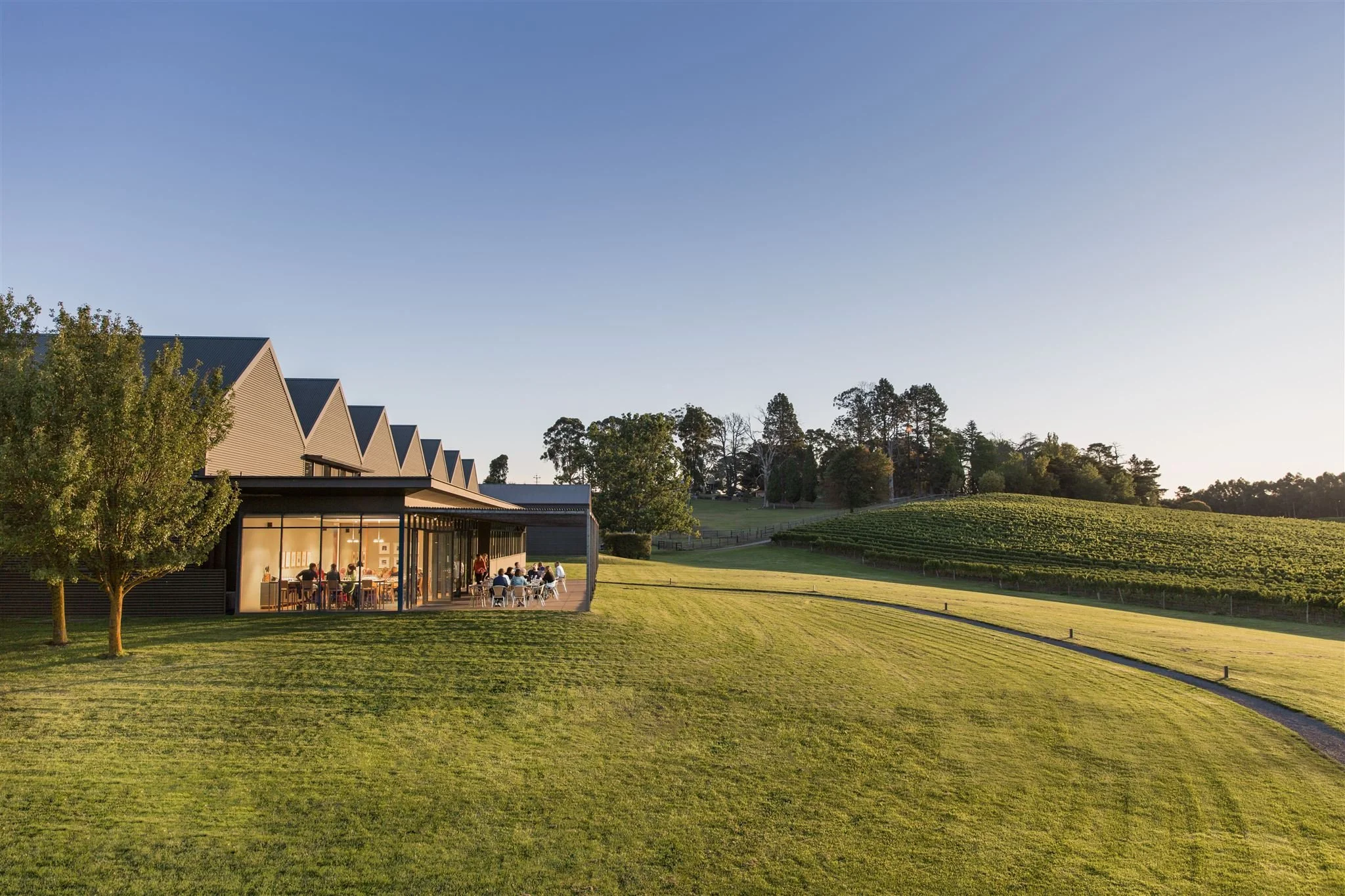 Adelaide Hills Balhannah, Shaw and Smith Tasting room, large modern building with glass walls, surrounded by green grass, trees, and a vineyard in the background, with people sitting outdoors.