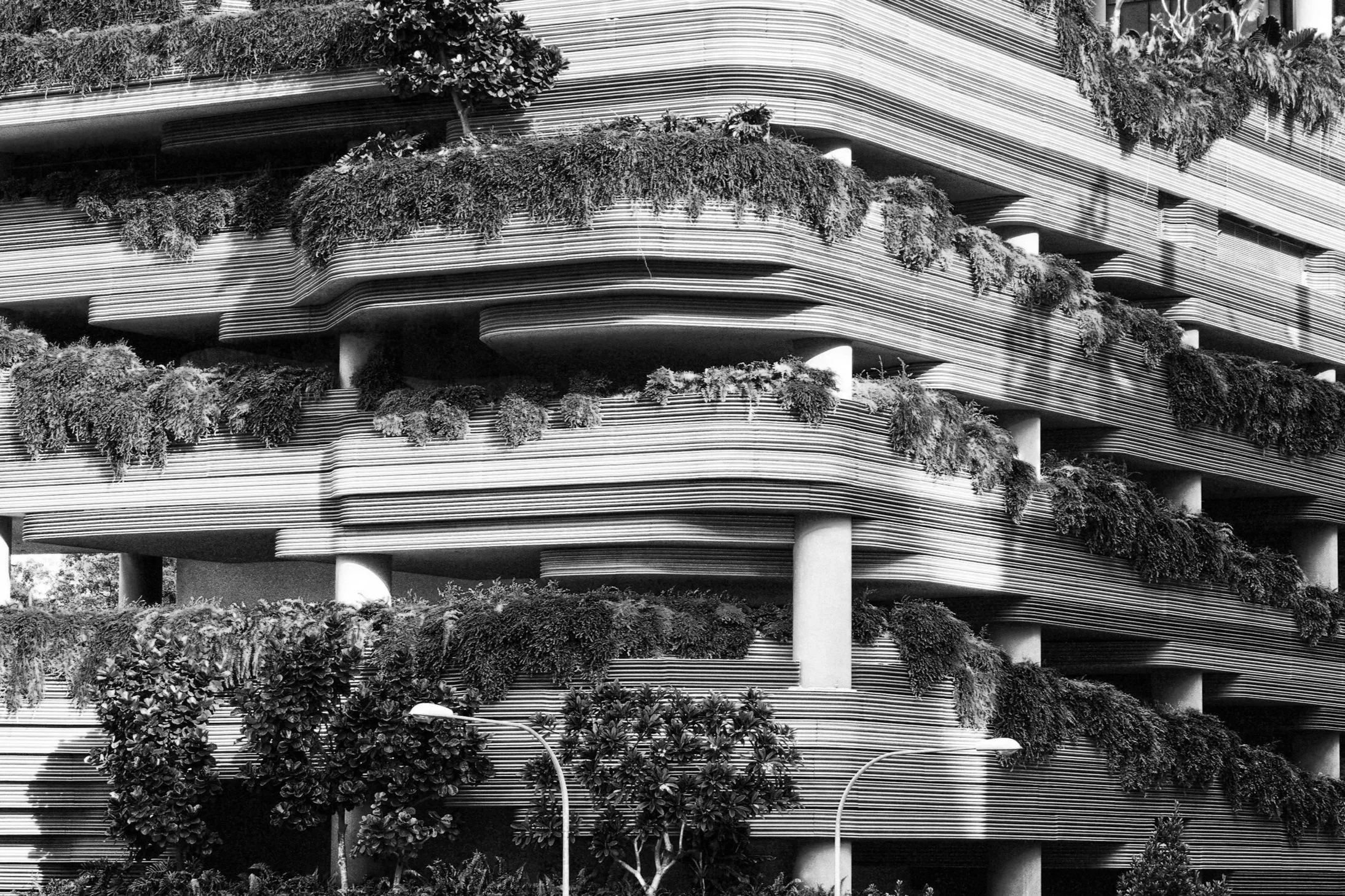 A black and white photo of a modern layered building with plants on each level, supported by cylindrical columns, and street lamps in the foreground.