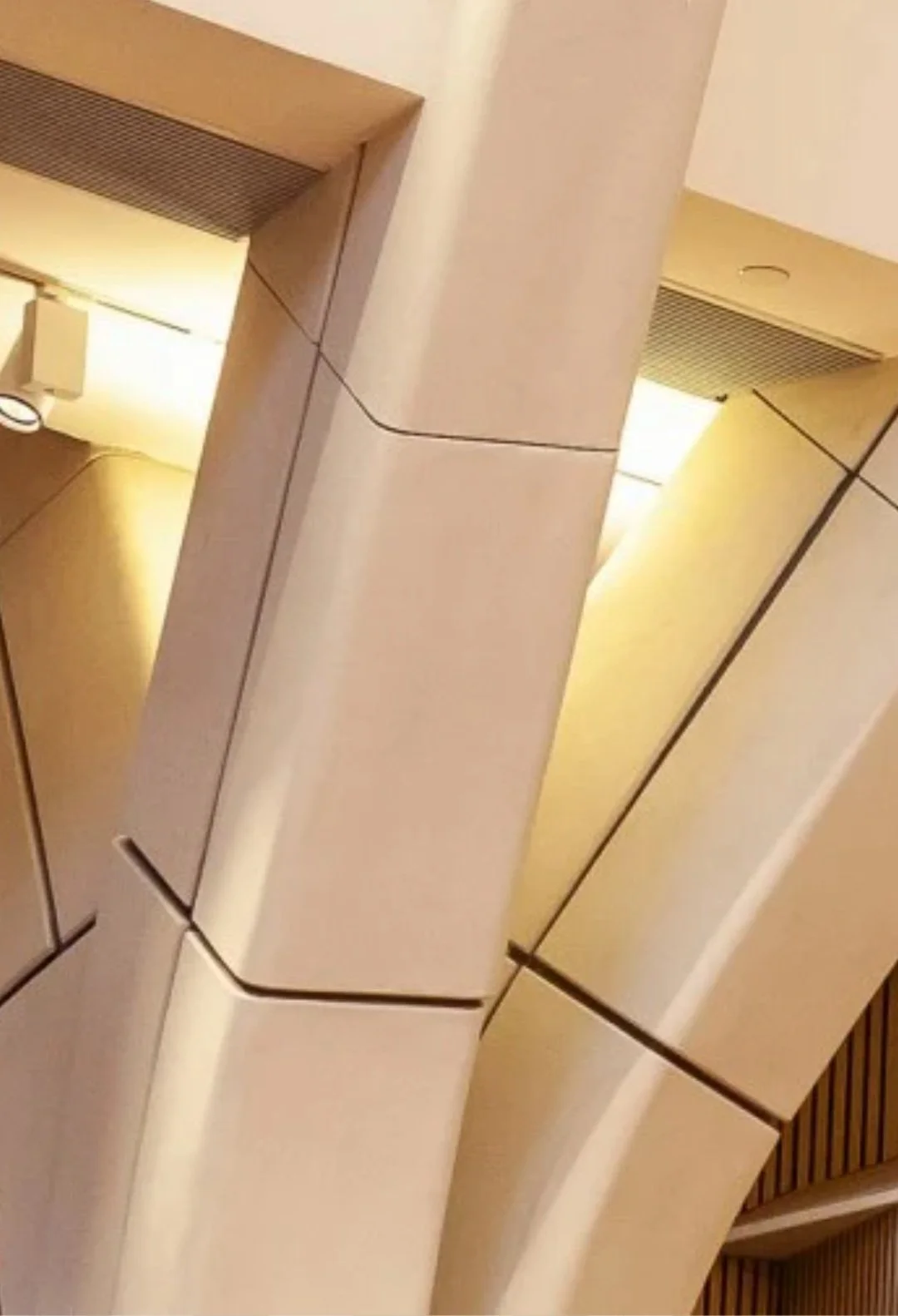 WhatsApp Image 2025-12-03 at 10.56.06.jpeg