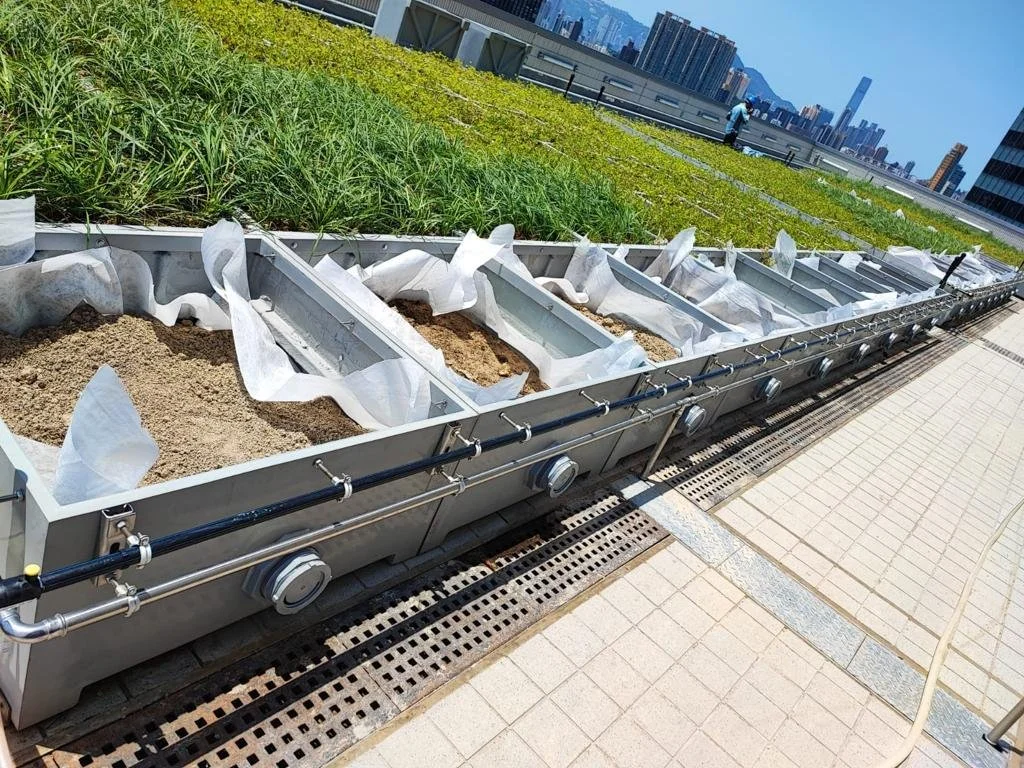 WhatsApp Image 2022-05-17 at 6.09.18 PM.jpeg