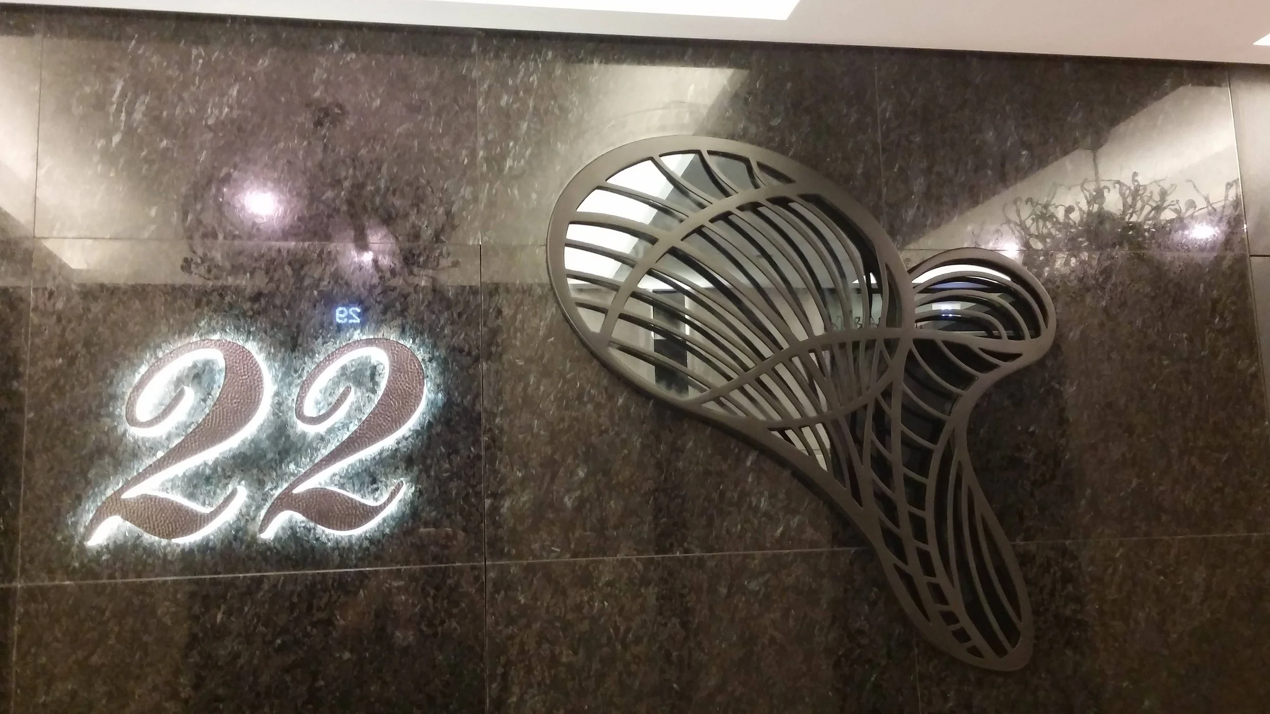 A191 IMG_8106 (2).jpg