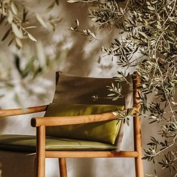 A wooden chair with olive-green cushions and backrest, surrounded by leafy branches, in a natural indoor setting.