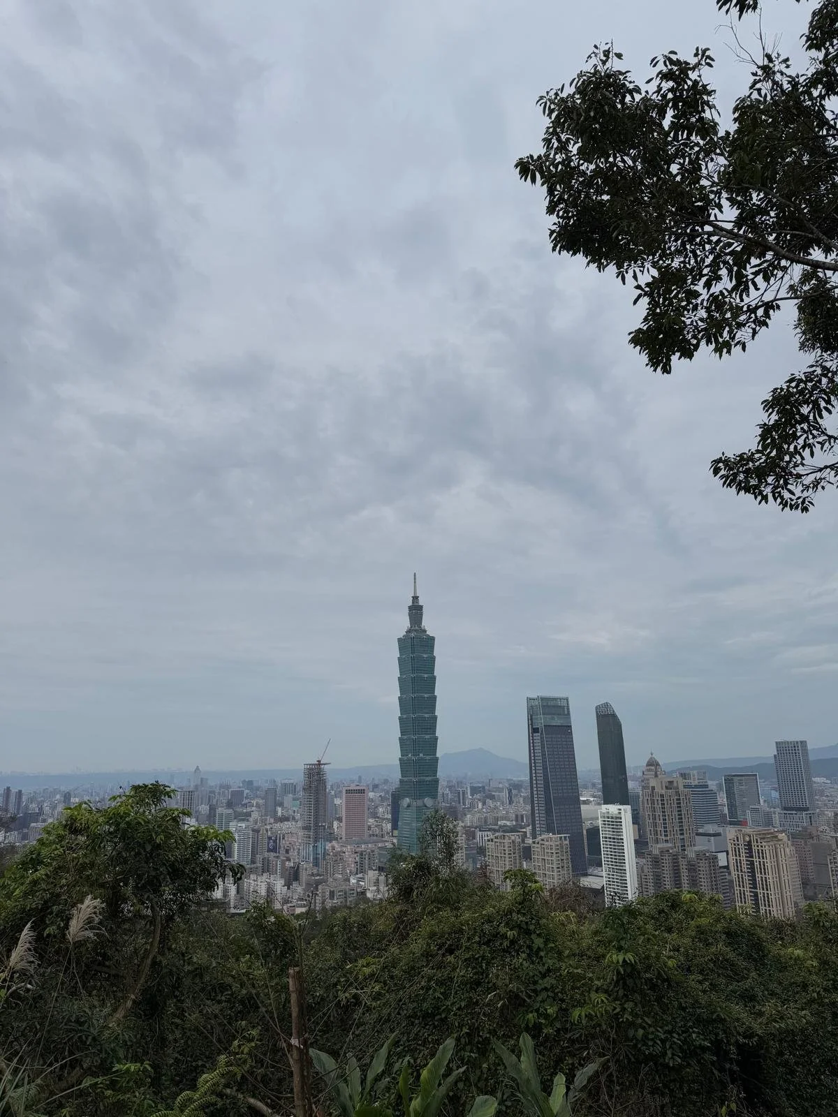 A city skyline with Taipei 101 skyscraper, surrounded by other tall buildings, under a cloudy sky, with trees in the foreground.