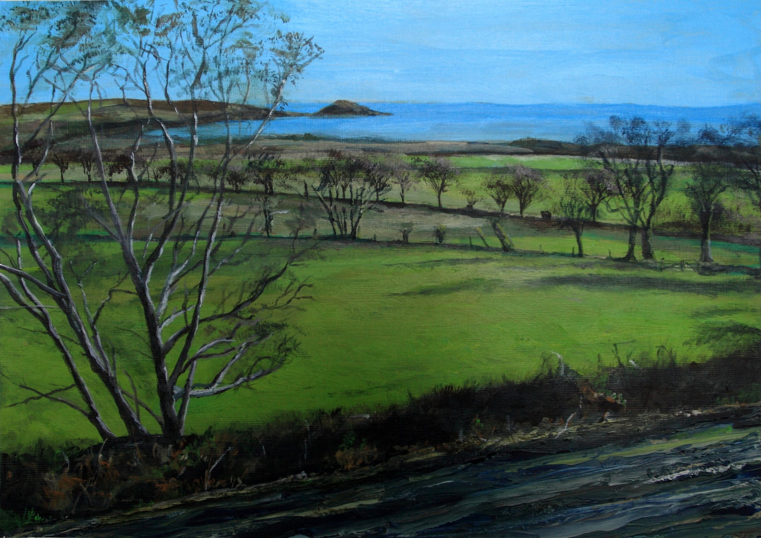 [T12] Carradale (Media: Acrylic, Surface: Paper 29.7x42.0 cm) Original £80