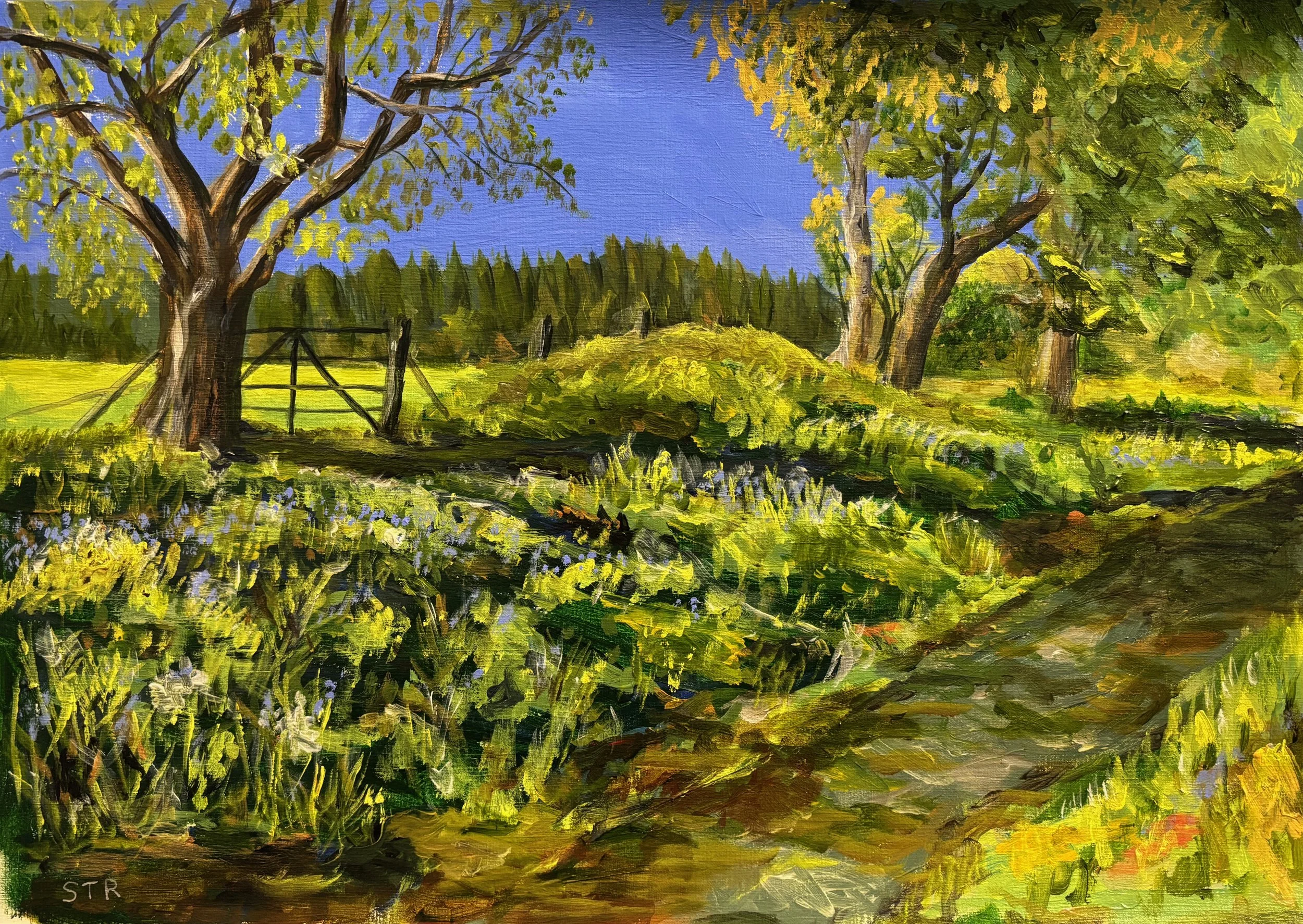 Sallys Walk Carradale