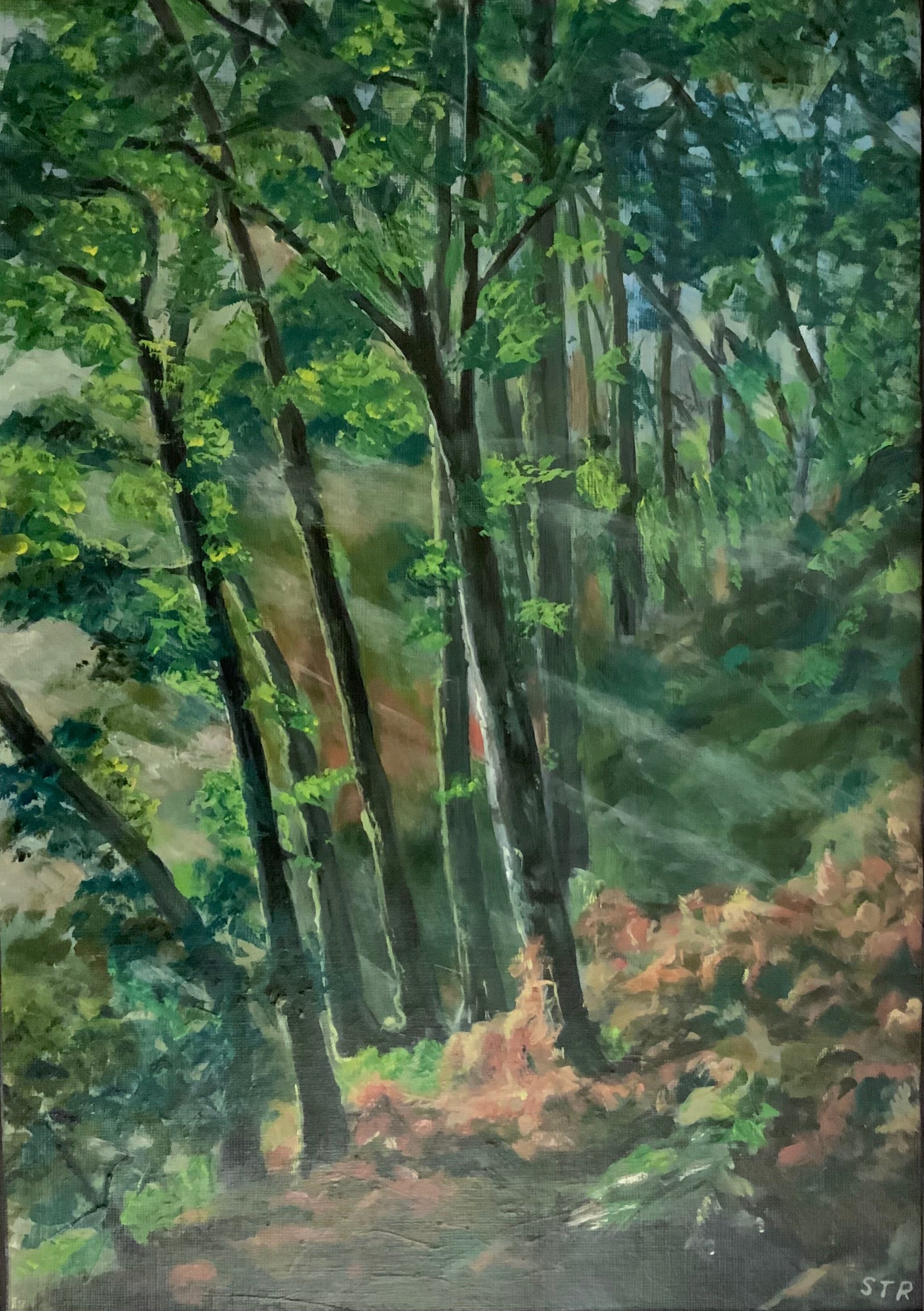 [T08] Woods nr. Achnabreck, Argyll (Media: Acrylic, Surface: Paper 29.7x42.0 cm ) Original £80