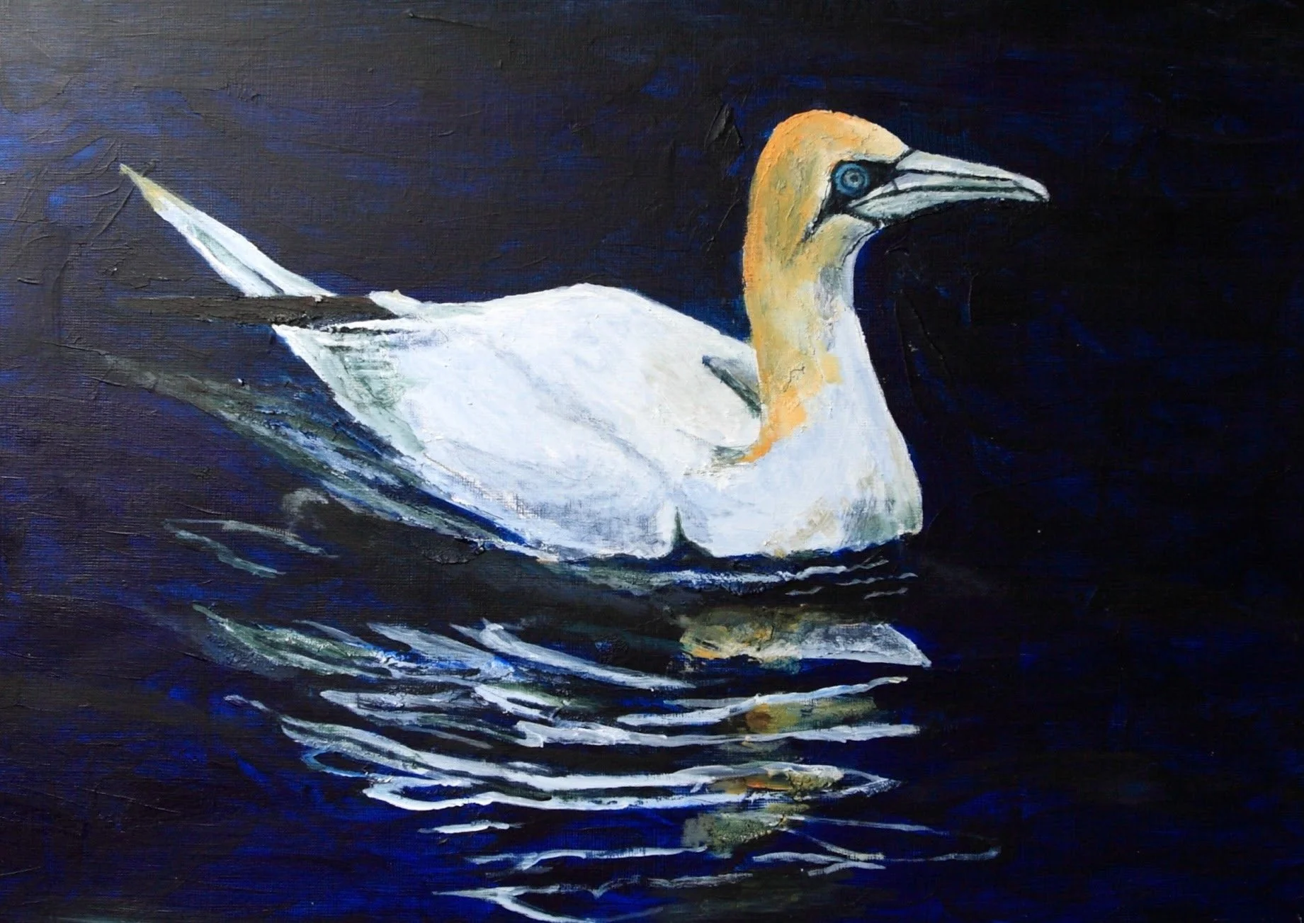 Gannet (Media: Acrylic, Surface: Paper A3)