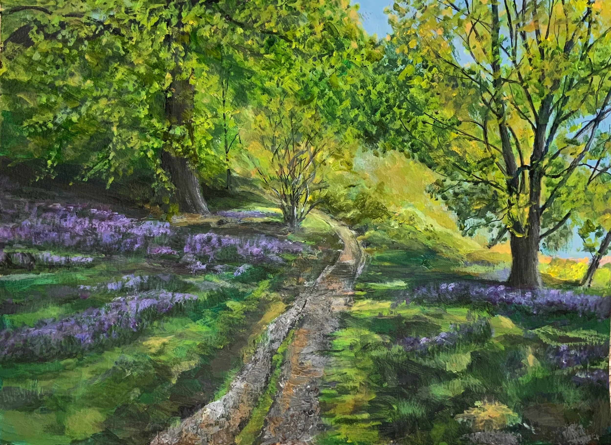 Bluebells Airds Wood, Carradale