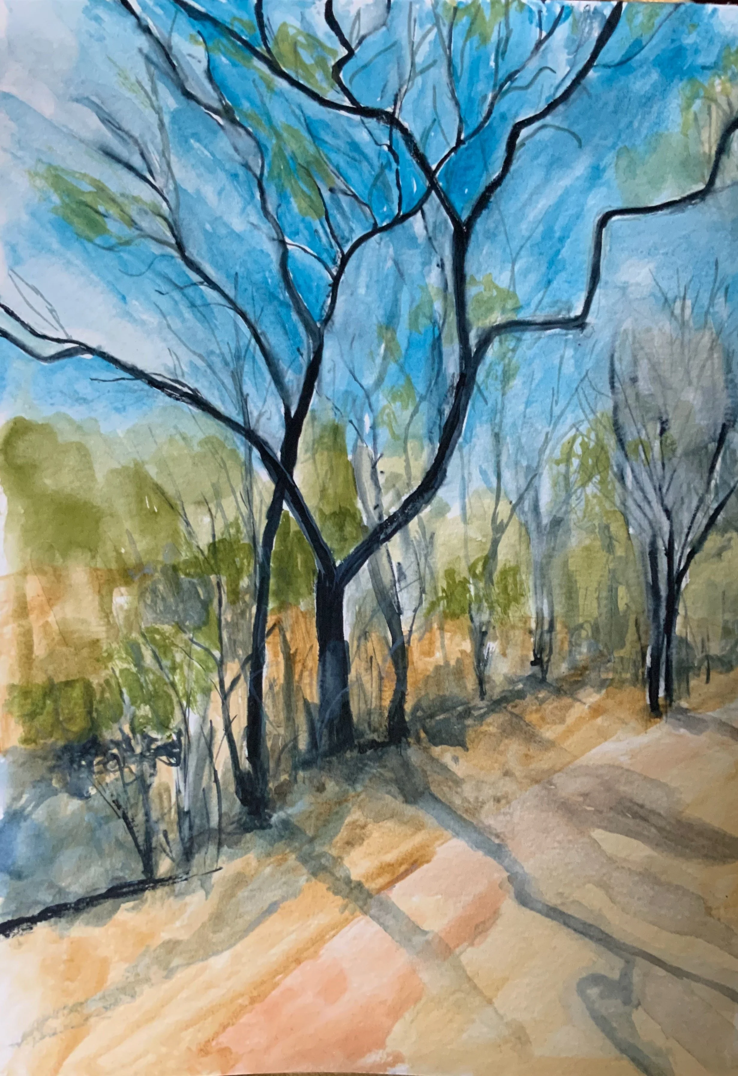 Kruger Park, South Africa, Water colour sketch, Paper A4
