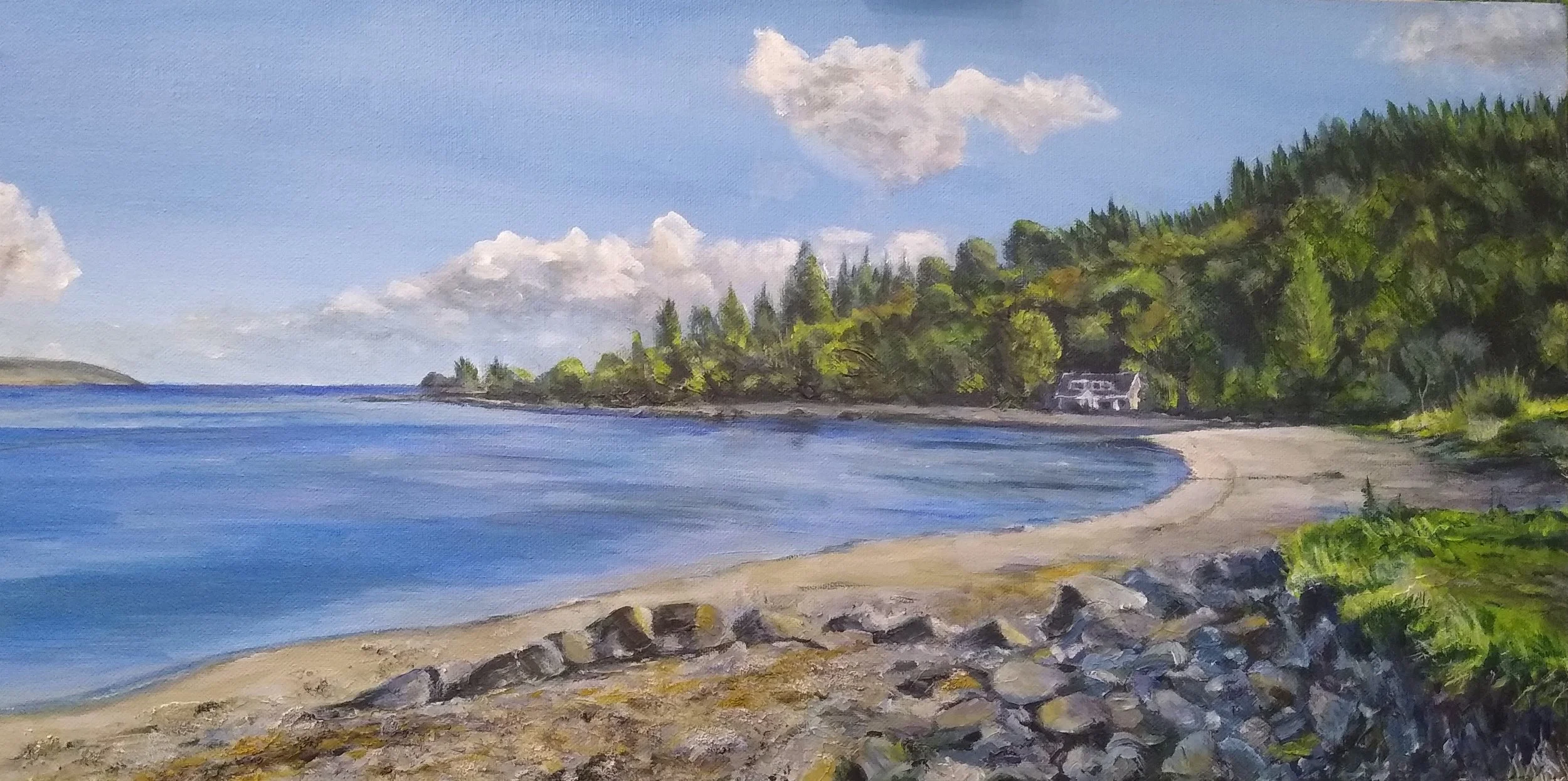 [T05] Torrisdale (Original, Media: Acrylic, Surface: Canvas 12"x 24") £90