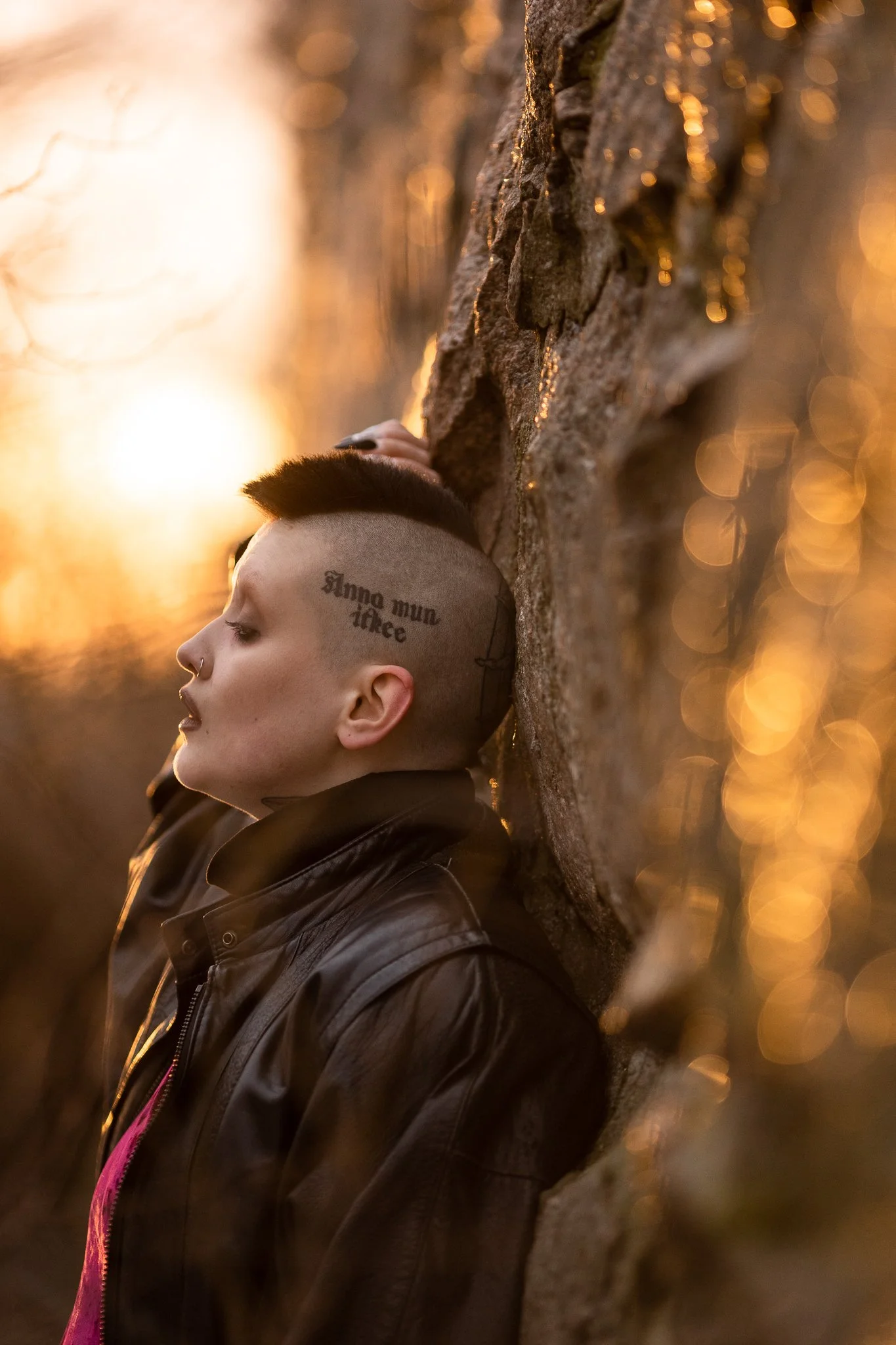 Henkilö on kuvattu sivusta, hän nojaa takaraivoaan kalliota vasten suu hieman auki ja katse alaviistoon, päällään tumma nahkatakki. Hänellä on musta irokeesi ja valkoinen iho, ohimolla tatuointi "Anna mun itkee". Auringonlasku