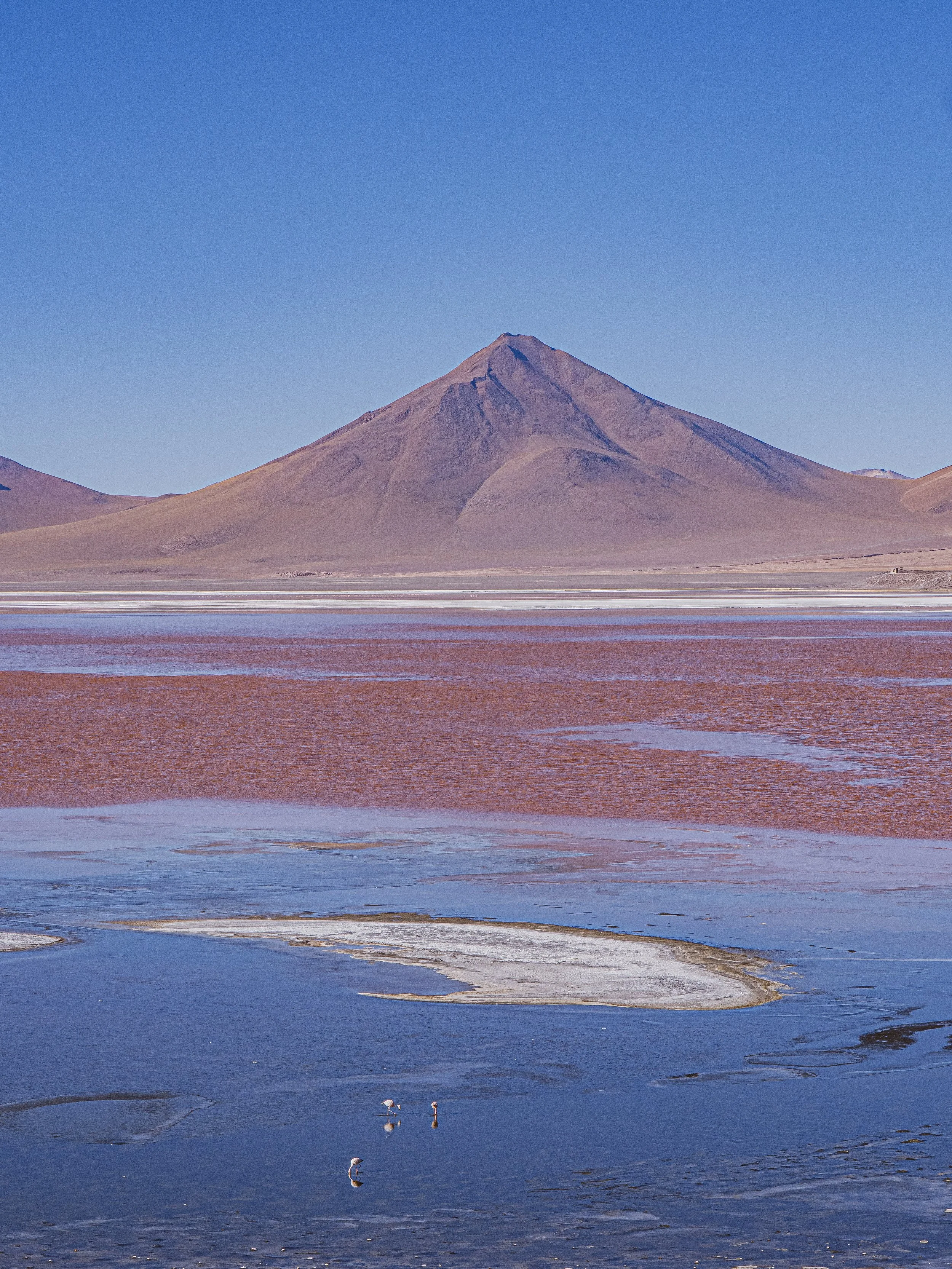 Laguna Colorada - Poster photo