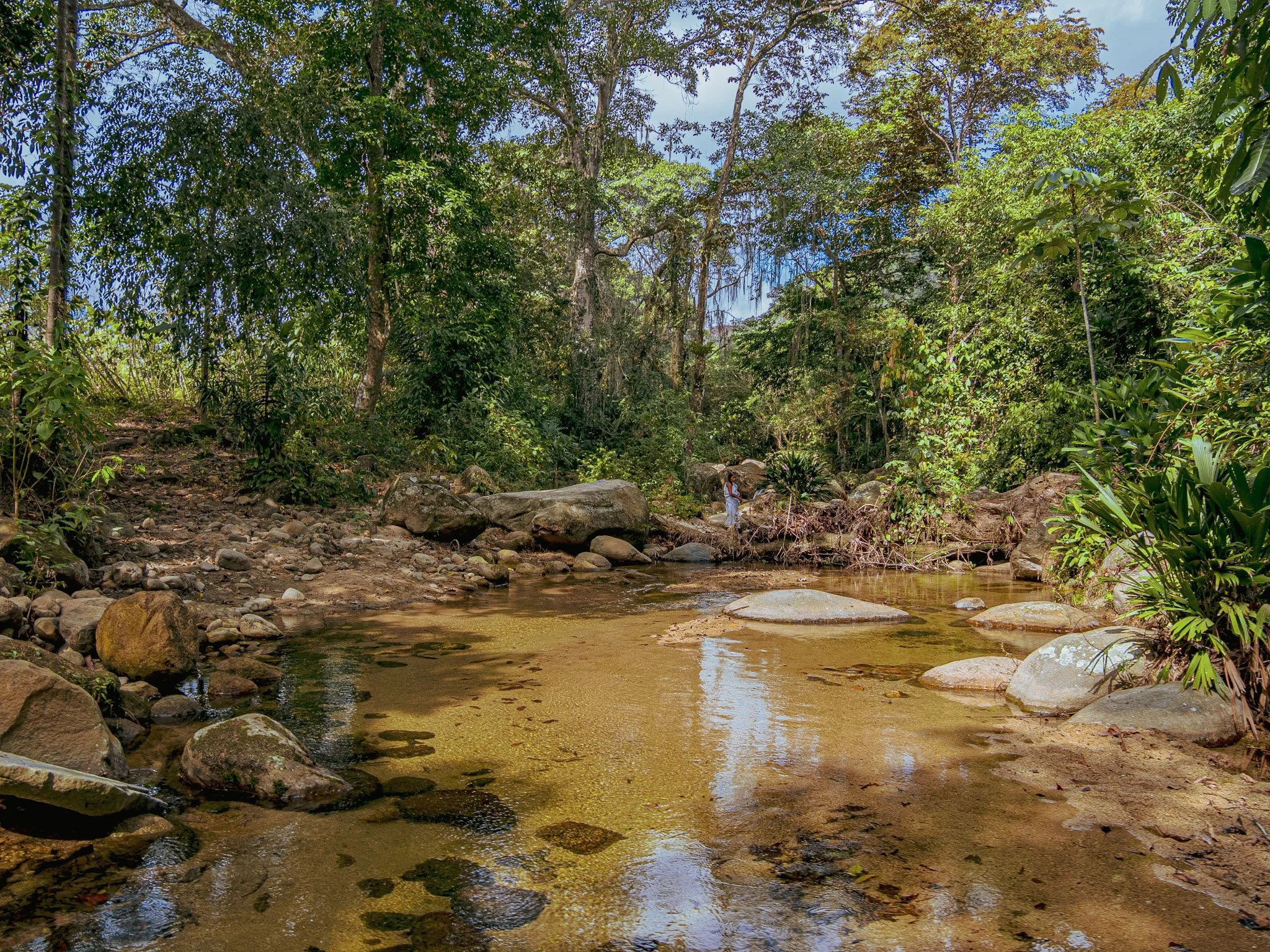 3-P1092503.jpg