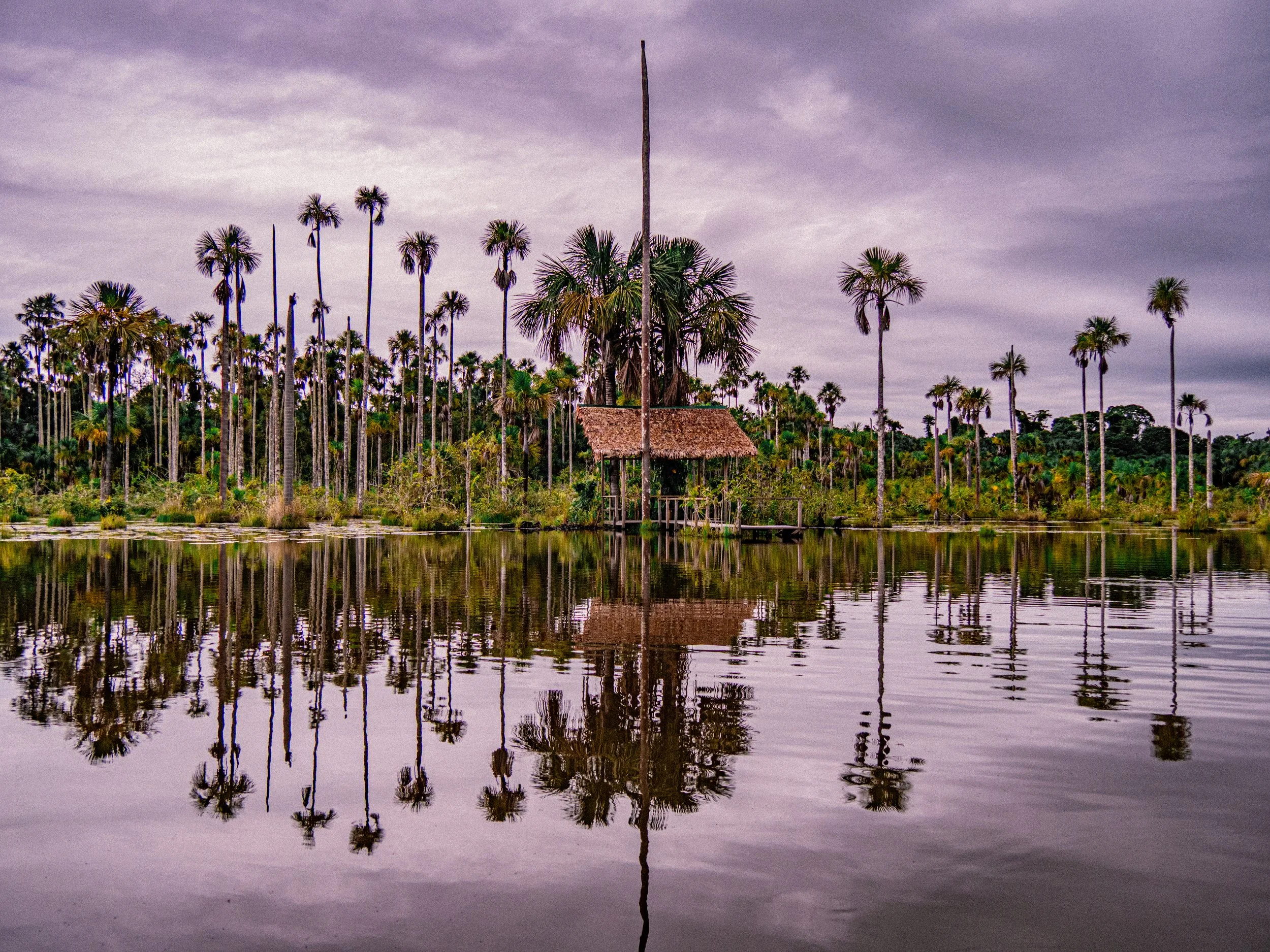 Lac avec reflet de palmiers et pavillon en bois avec toit de chaume, sous un ciel nuageux.