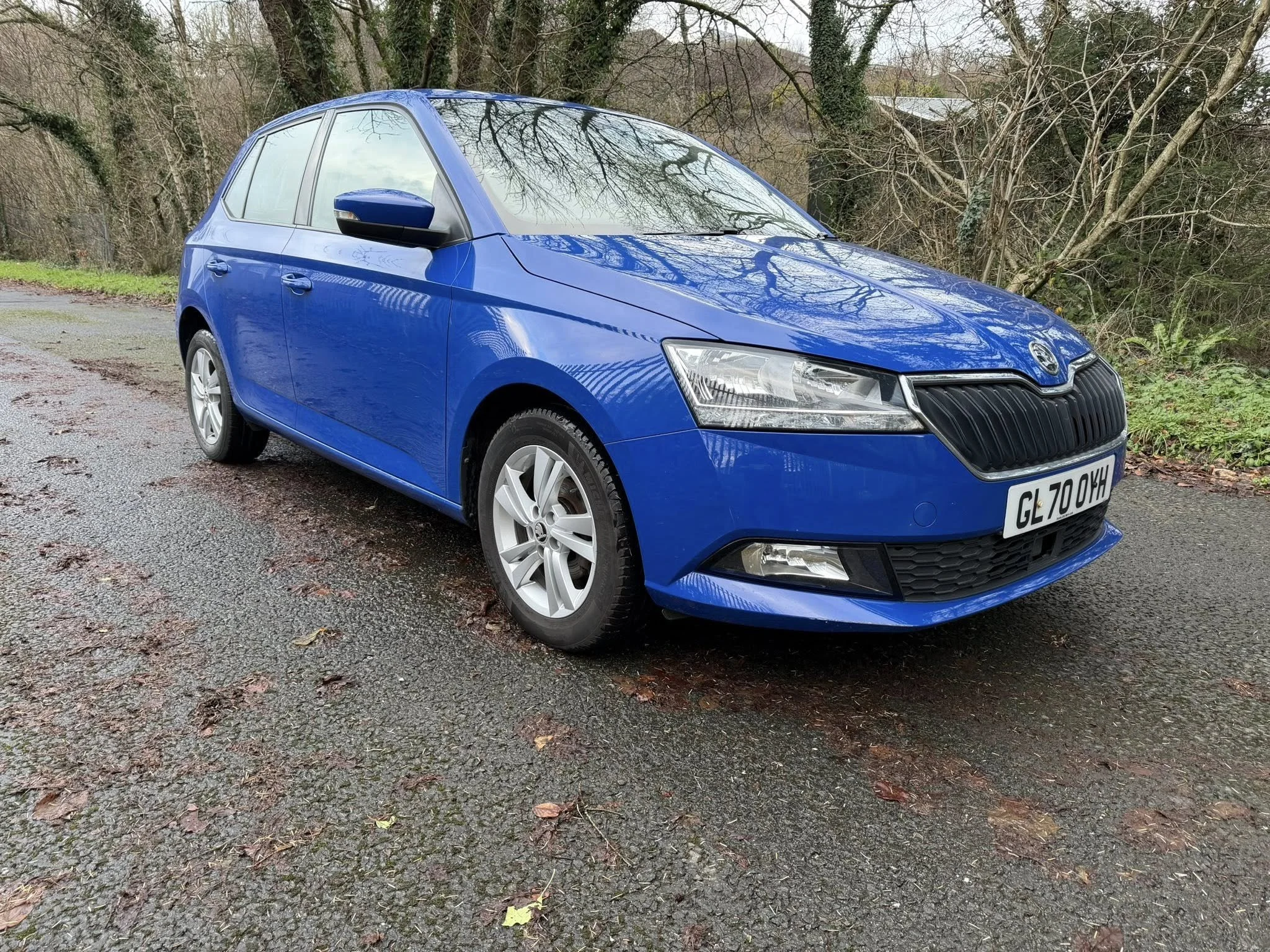 Skoda Fabia SE