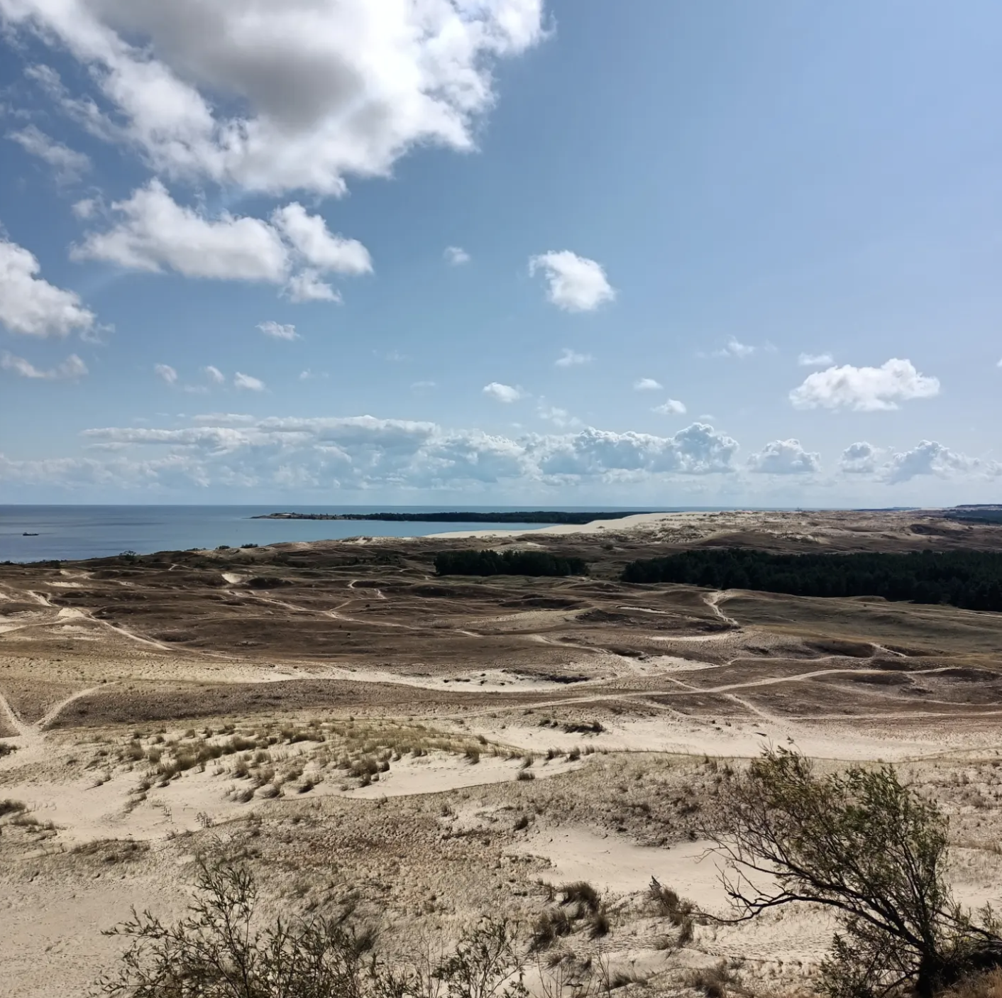 Screen Shot 2025-09-01 at 13.42.06.png