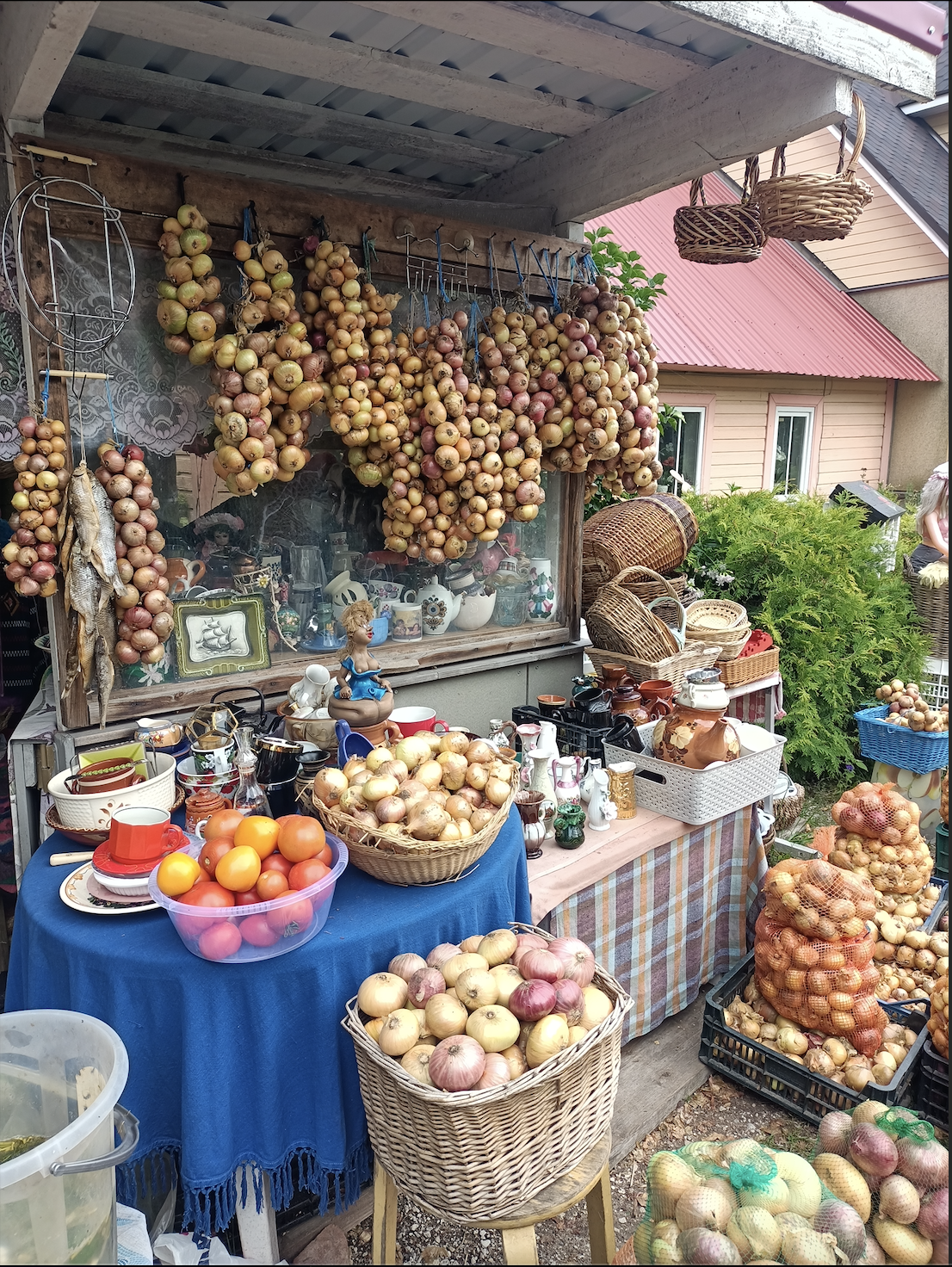 Screen Shot 2025-09-03 at 14.52.45.png