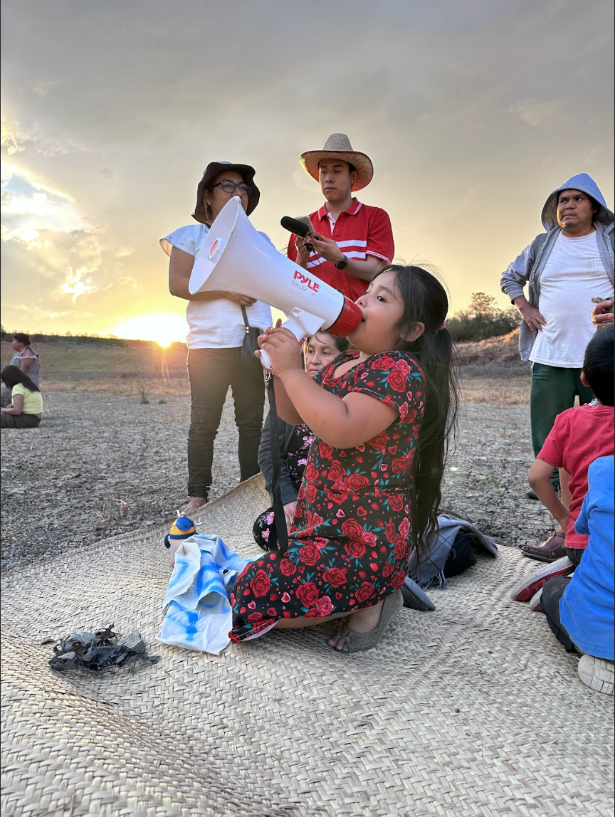 Screen Shot 2025-09-08 at 16.17.10.png