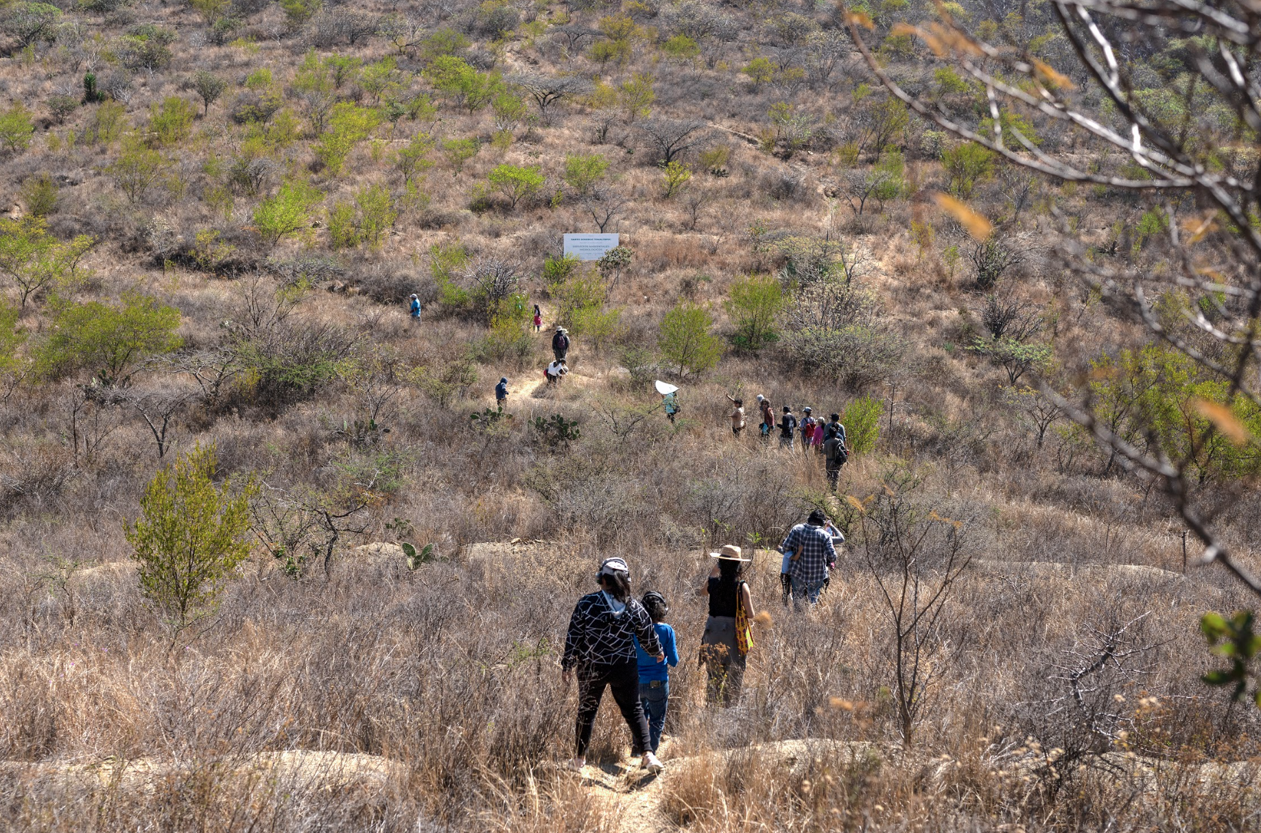 Screen Shot 2023-05-24 at 15.45.47.png