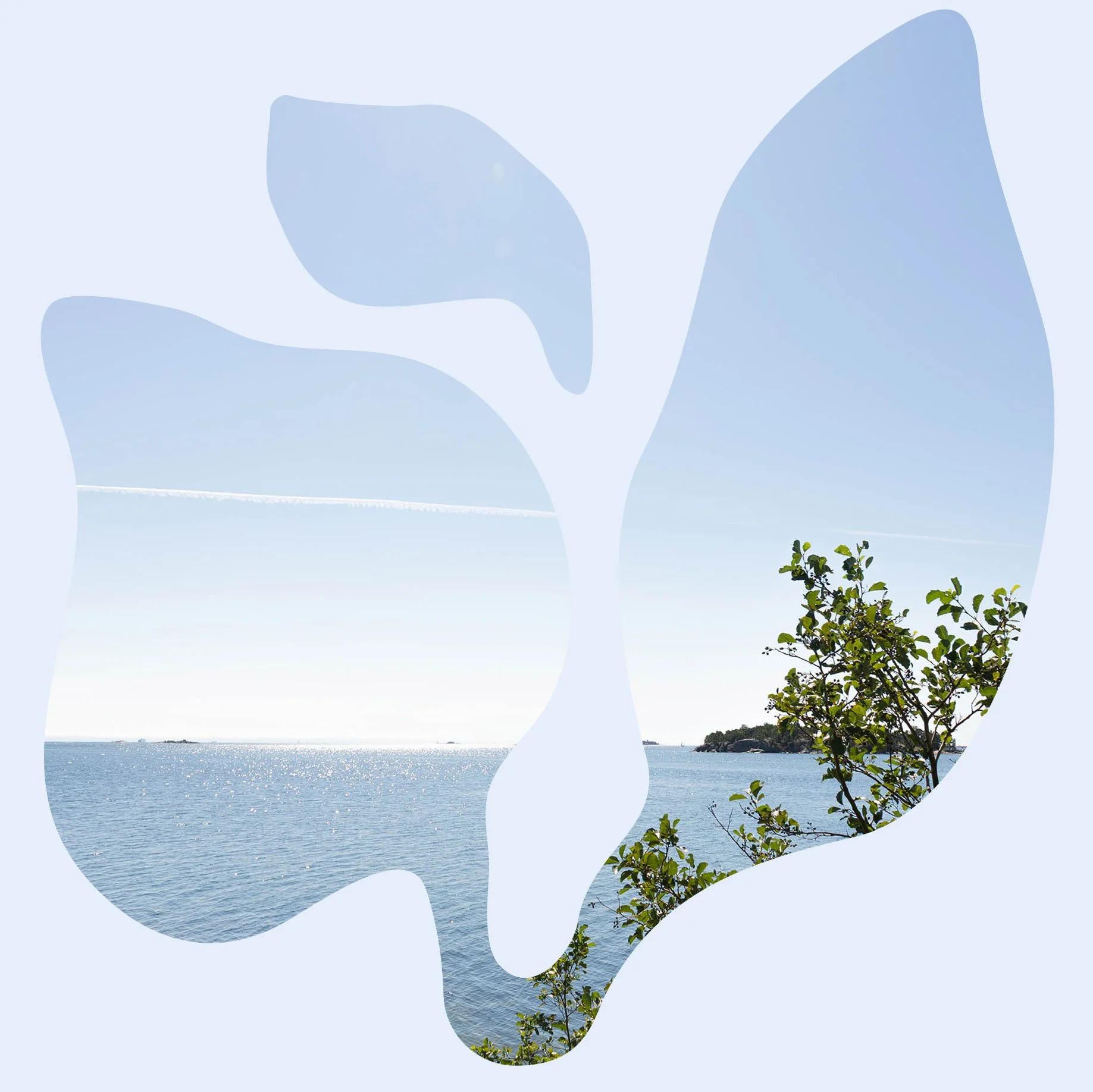 Merimaisema kasvua symboloivassa Harmoniamaan kehyksessä