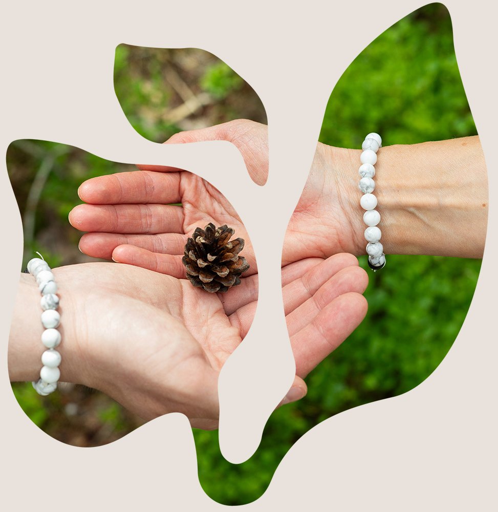 Kahdet kädet pitelevät käpyä metsässä, kuvaa kehystää harmoniamaan kasvi symboli