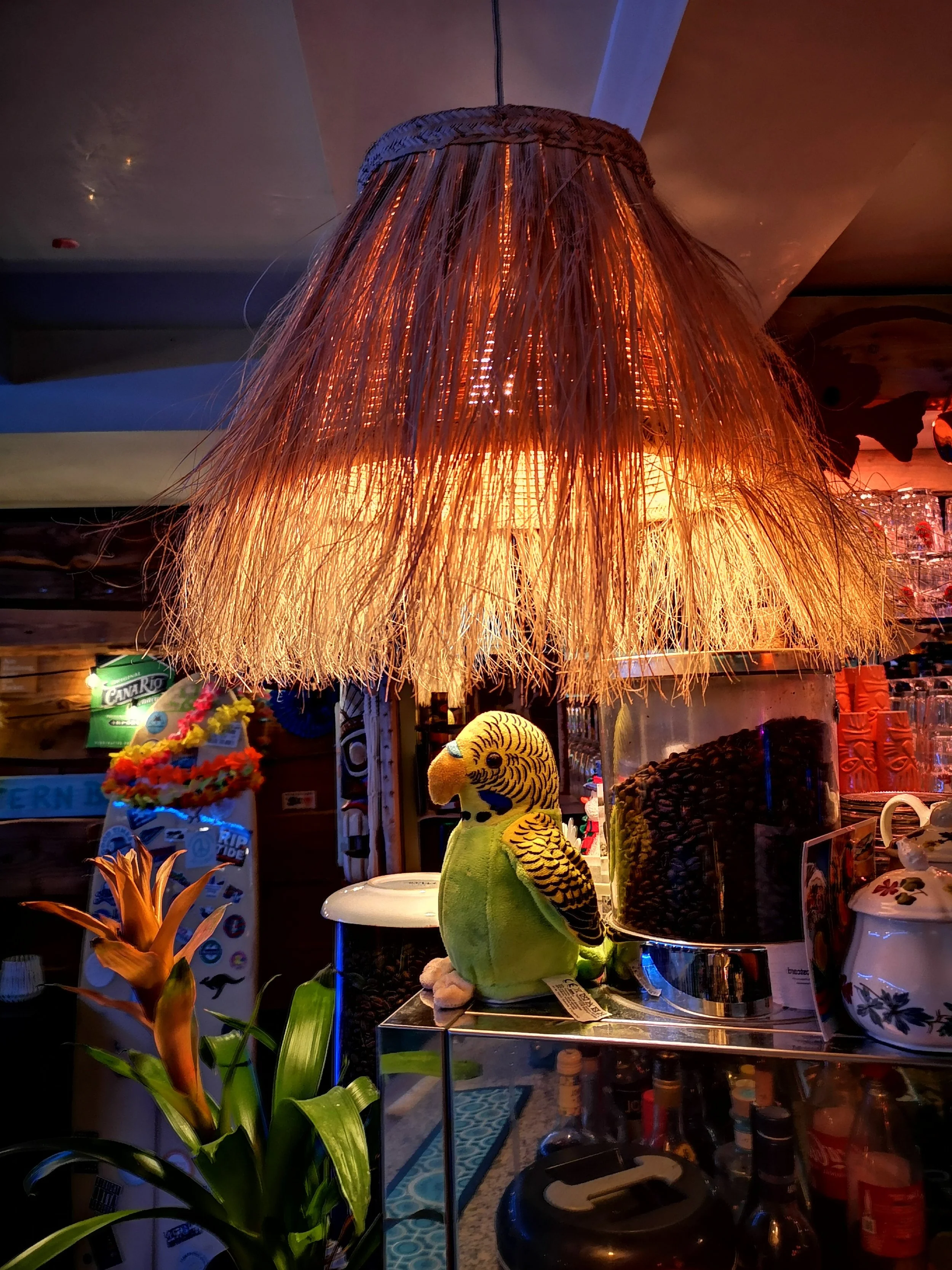 IMG_20230308_205138 (1).jpg