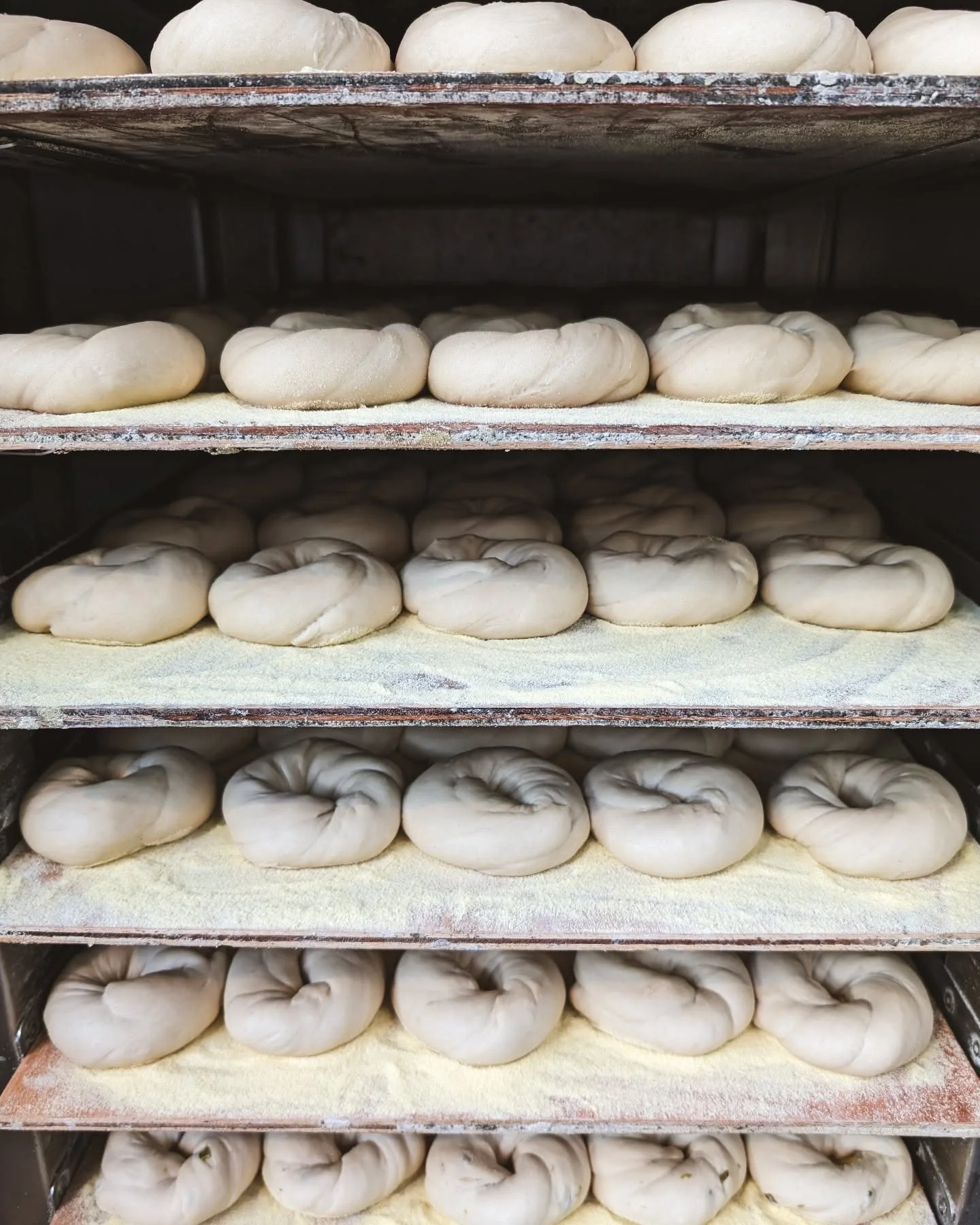 Bodega Bagels