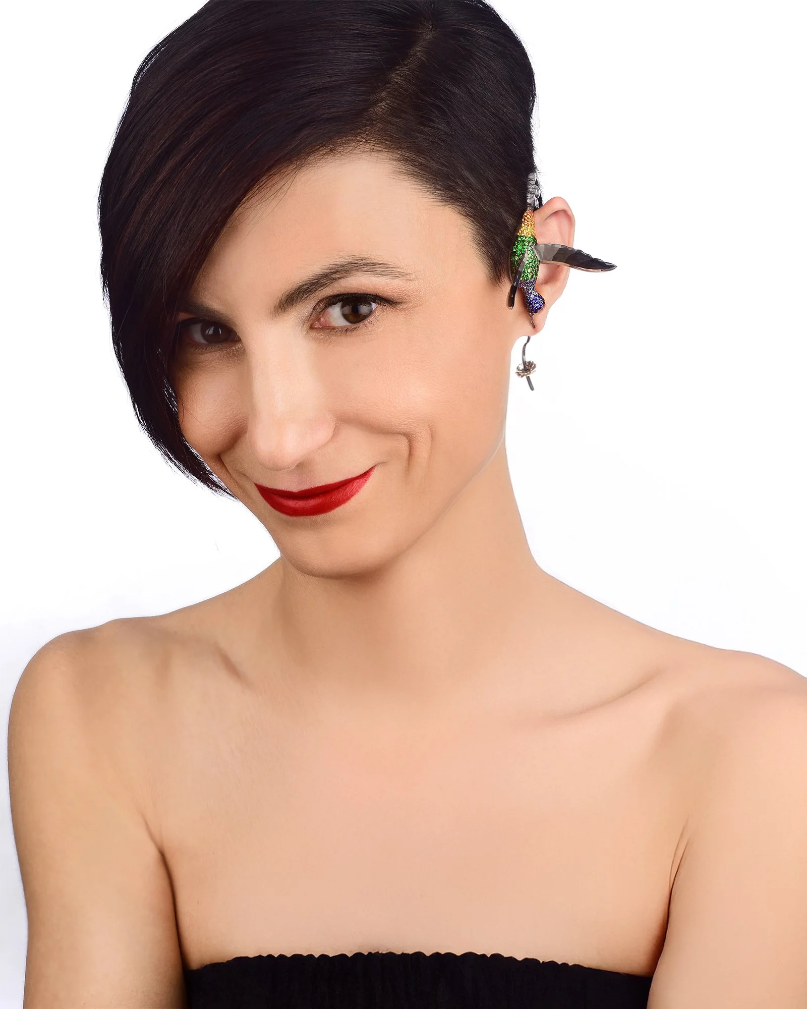 THE HUMMINGBRIRD 1.jpg