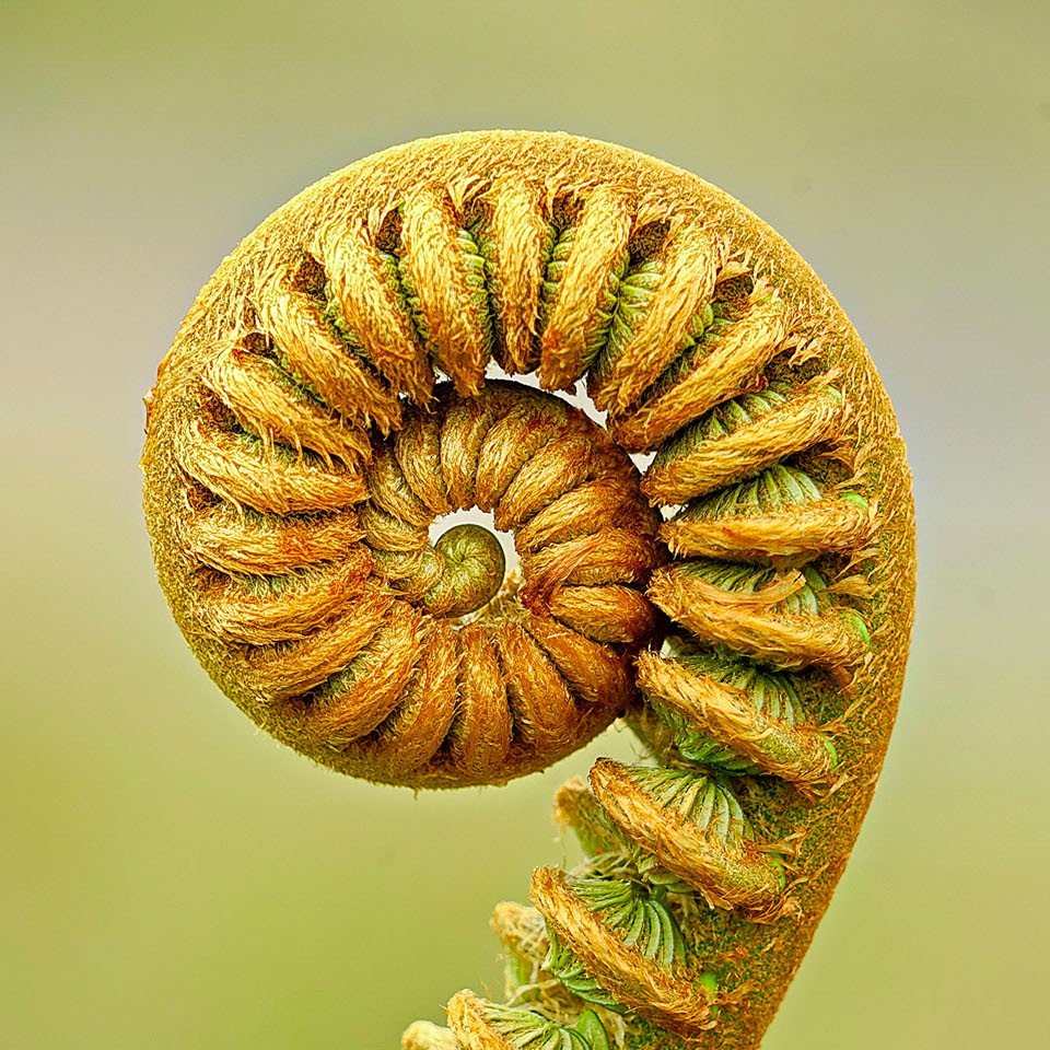 AI for Everyone (individuals not companies) -Stage 1