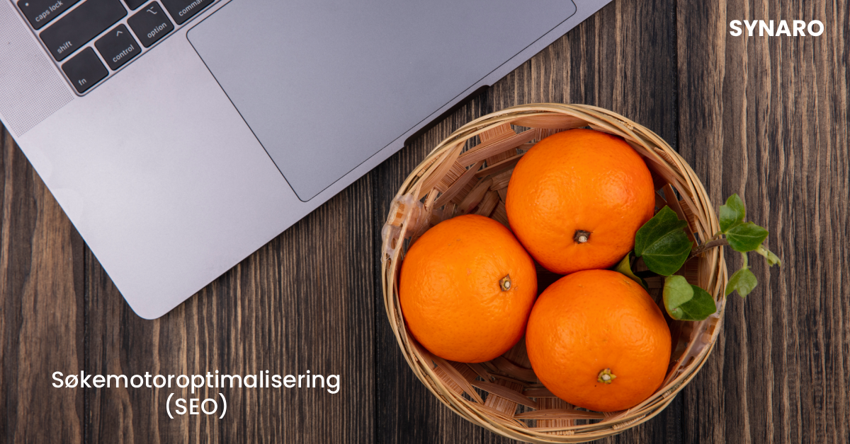 SEO og søkemotoroptimalisering: Slik bygger du varig synlighet og digital autoritet