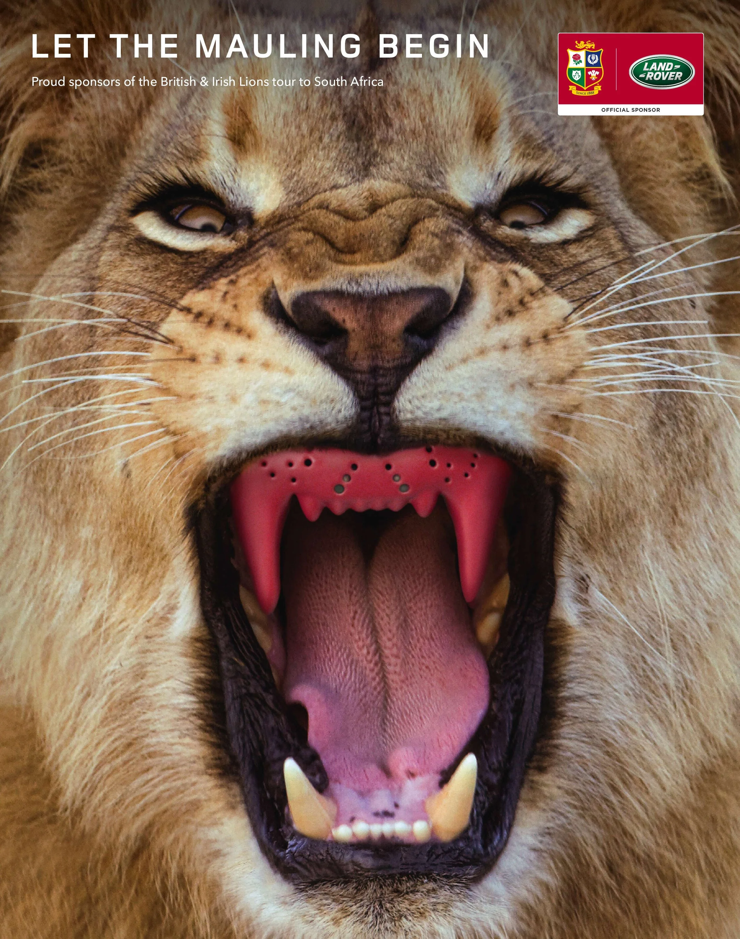 The Lions Tour of South Africa  (Copy)