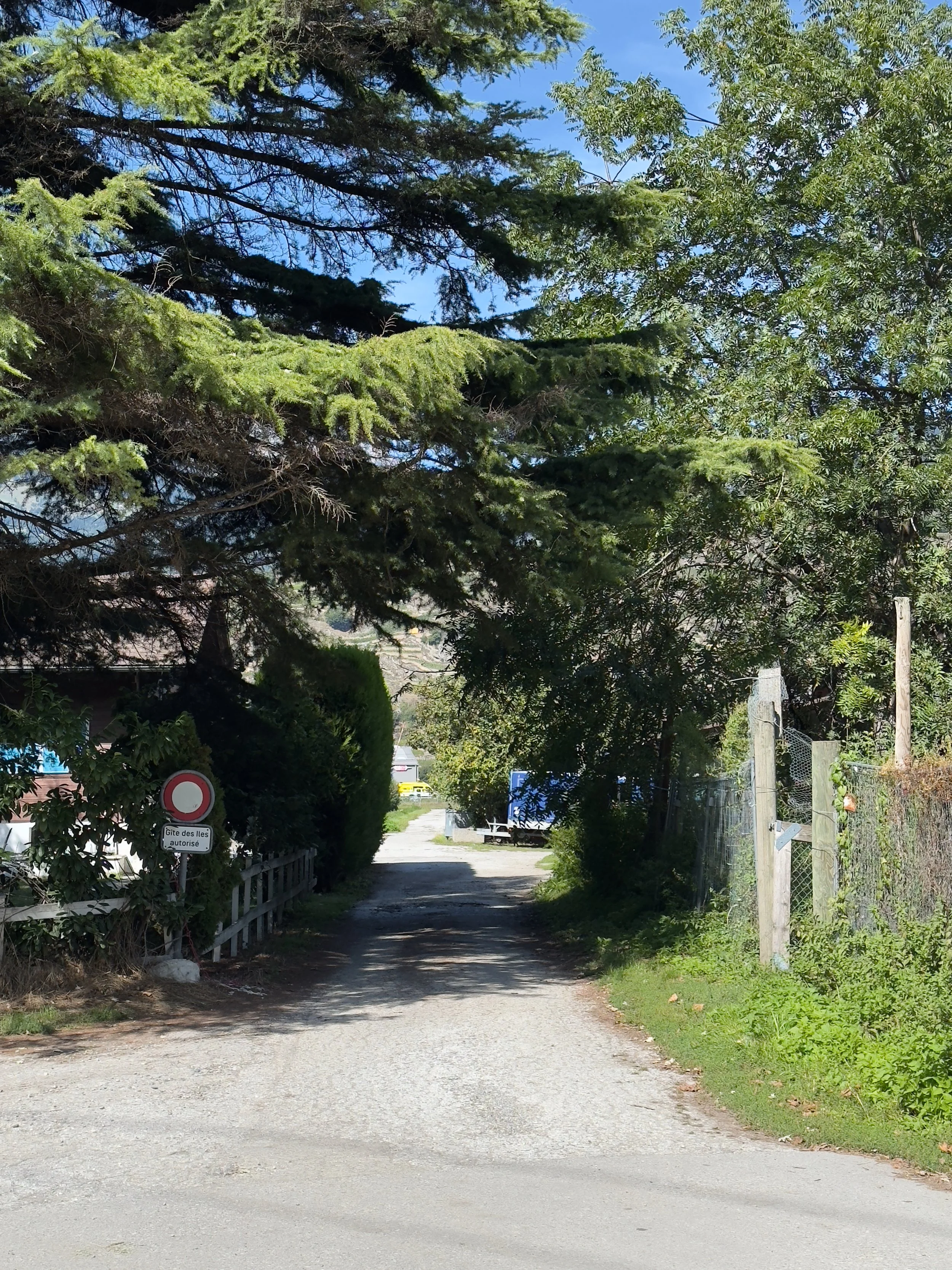 Une voie rurale bordée d'arbres et de clôtures, avec un panneau de restriction d'accès.