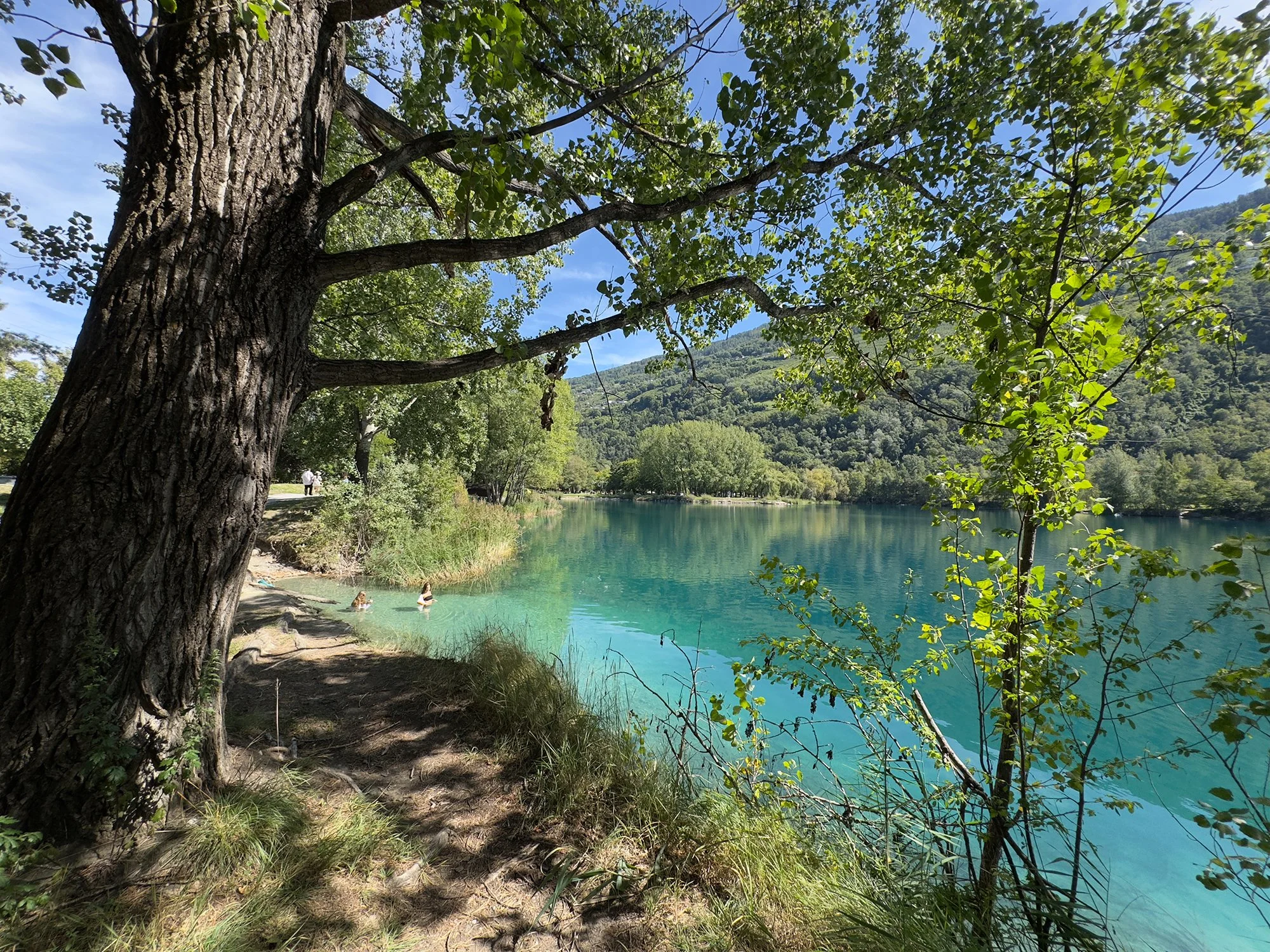 Le lac turquoise du Domaine des Îles à Sion en Valais (Suisse). Une scène de nature avec un arbre au premier plan, un lac d'eau turquoise, des randonneurs près du lac, et une forêt entourant le lac sous un ciel bleu.