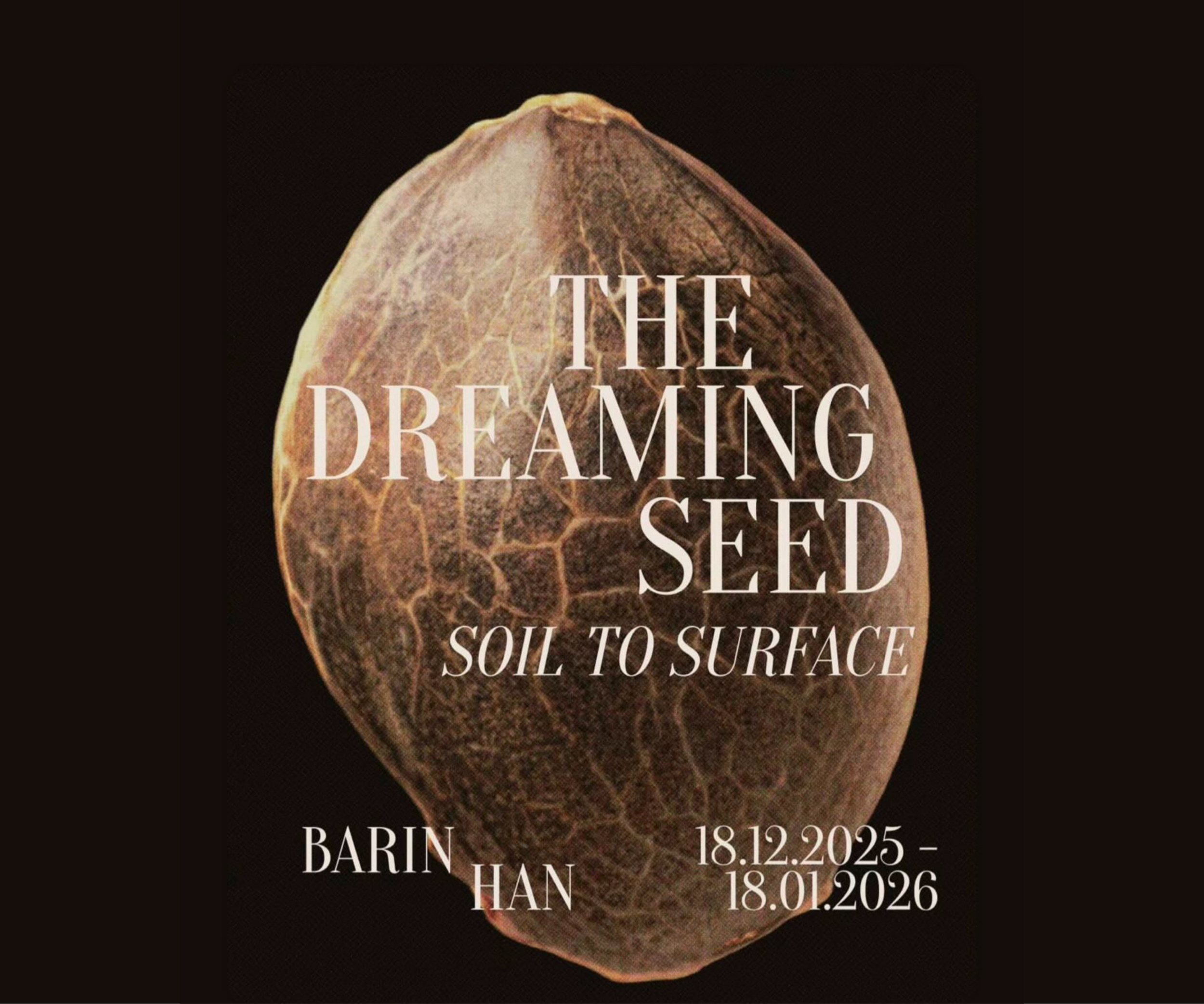 The Dreaming Sead- soil to surface
