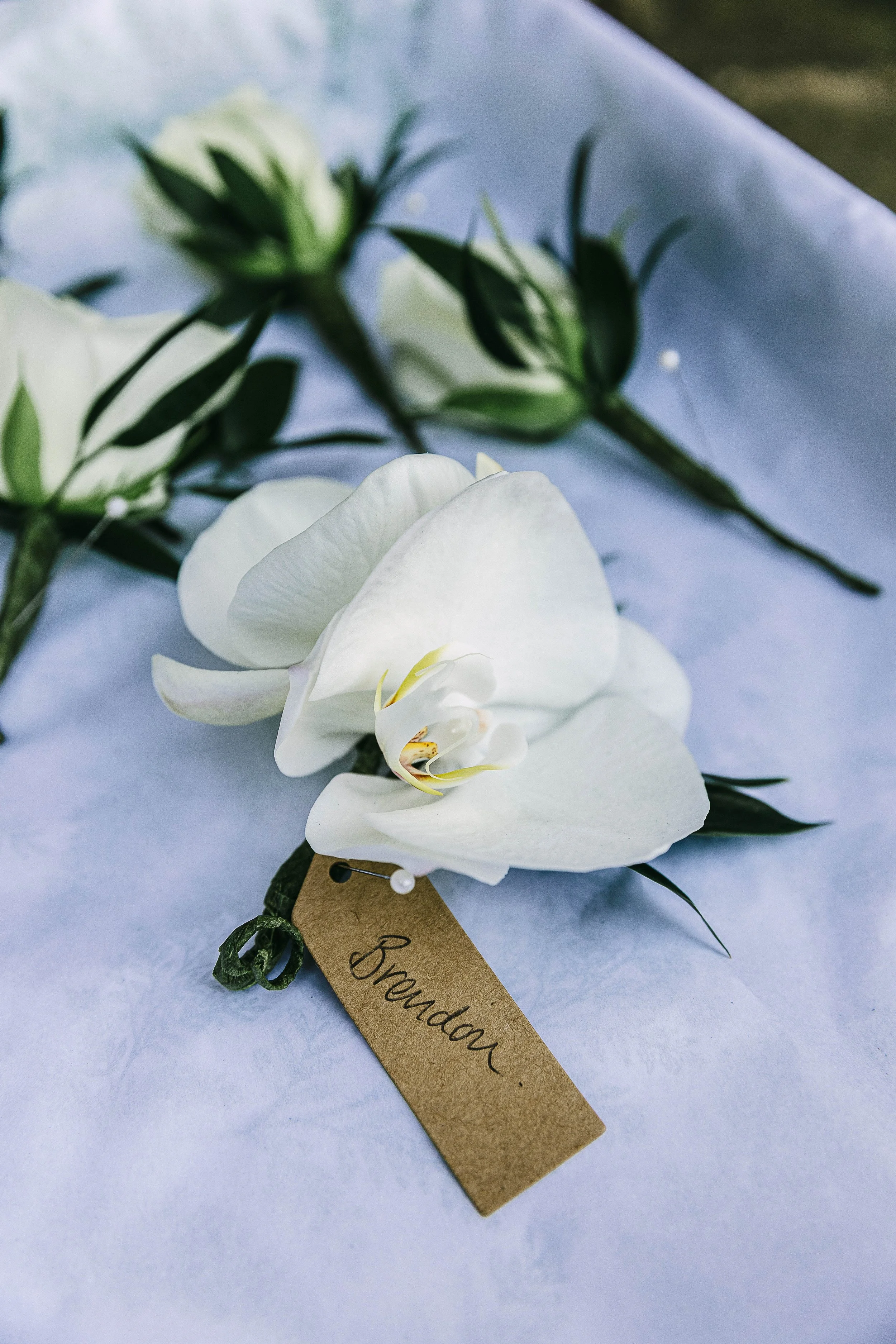 Grooms orchid button hole 