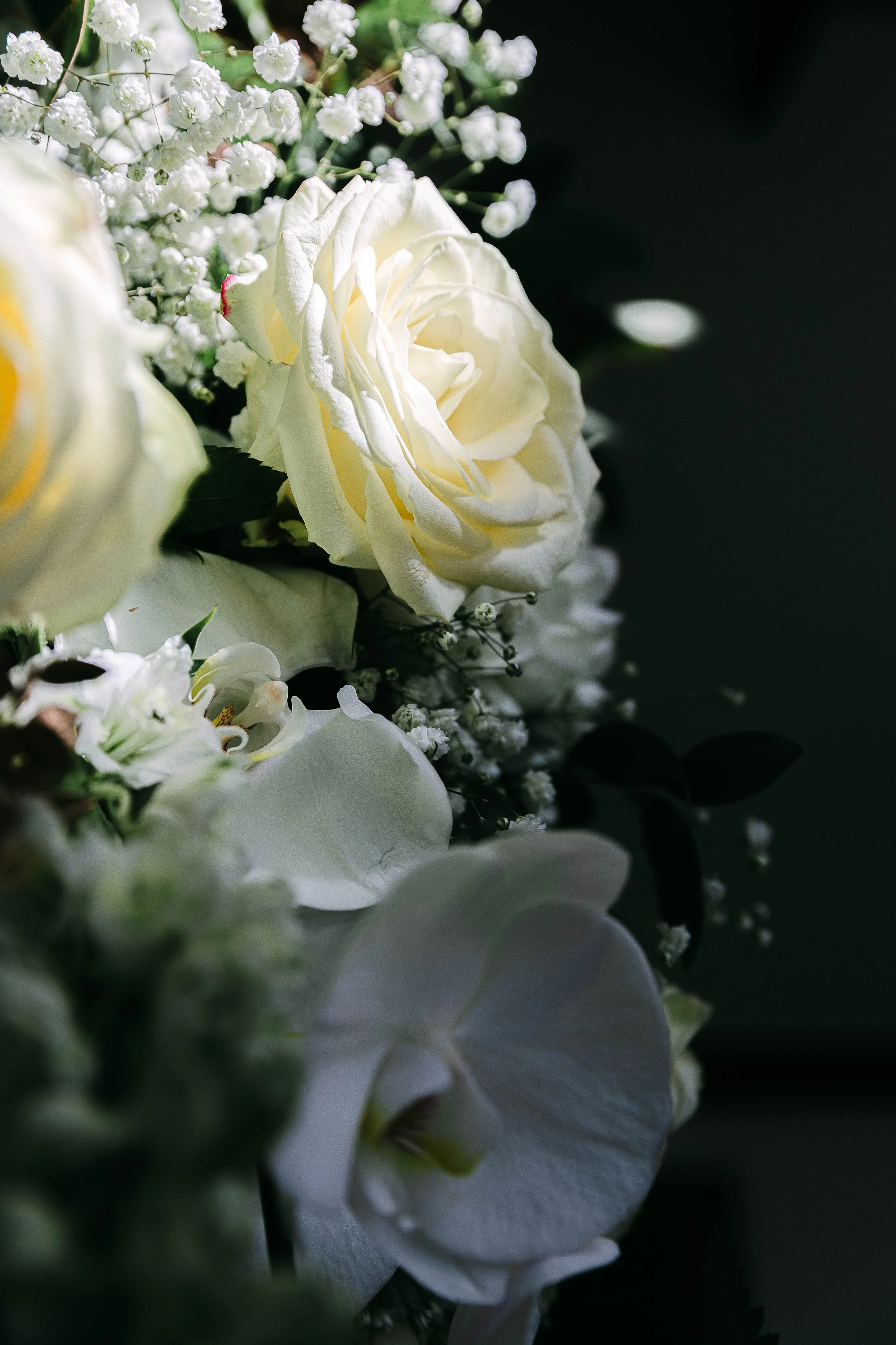 Close up image of a white rose at a wedding in South Farm Hertfordshire
