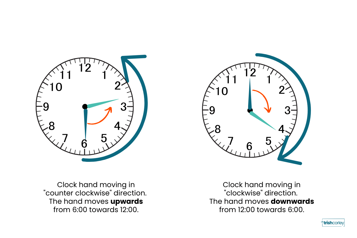 Clock hand analogy showing counter-clockwise upward rotation and clockwise downward rotation of shoulder blade