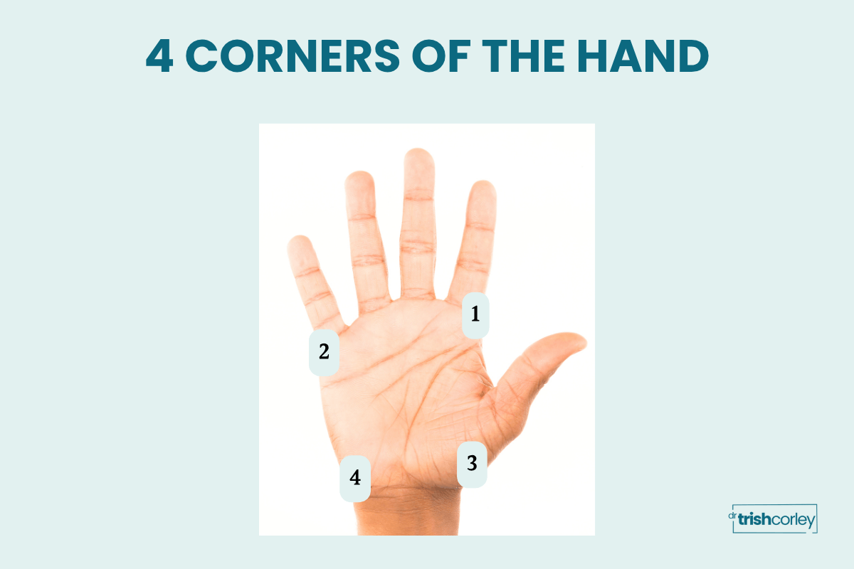 Diagram showing the four corners of the hand numbered 1 through 4 for wrist pain prevention in yoga