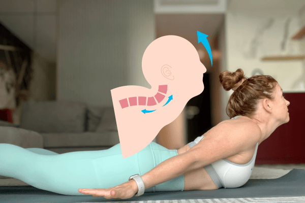 Locust Pose Cues: What the Neck Is Actually Doing