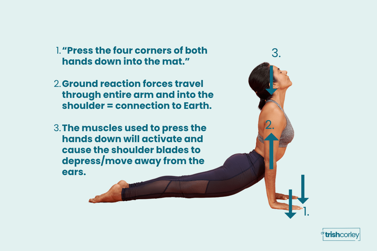 Woman in upward facing dog demonstrating the hand press cue for shoulder alignment