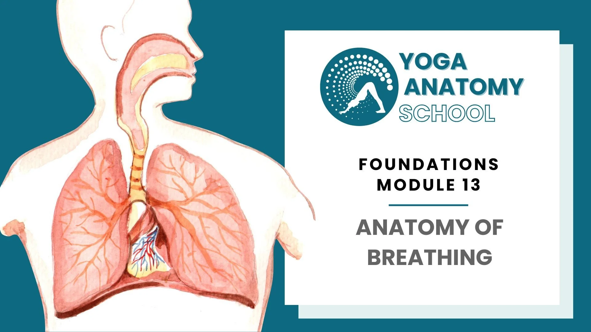 Yoga Anatomy Muscles & Joints - 10 sec video (13).jpg