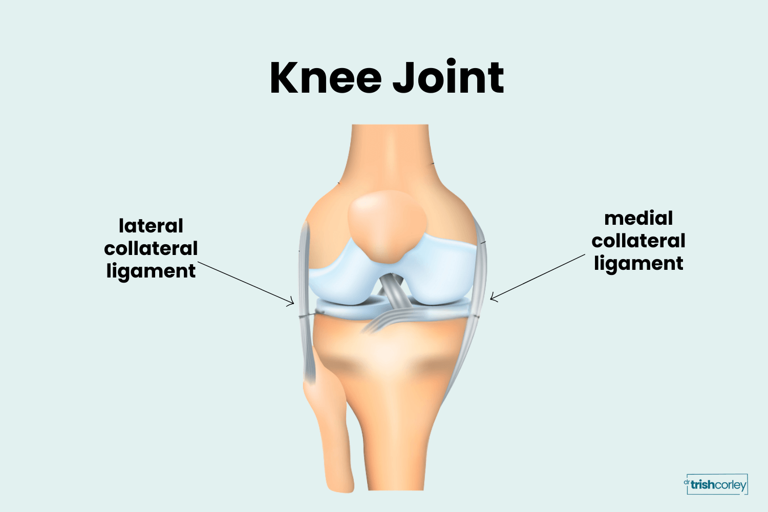 Knee anatomy diagram showing medial and lateral collateral ligaments that prevent side-to-side movement