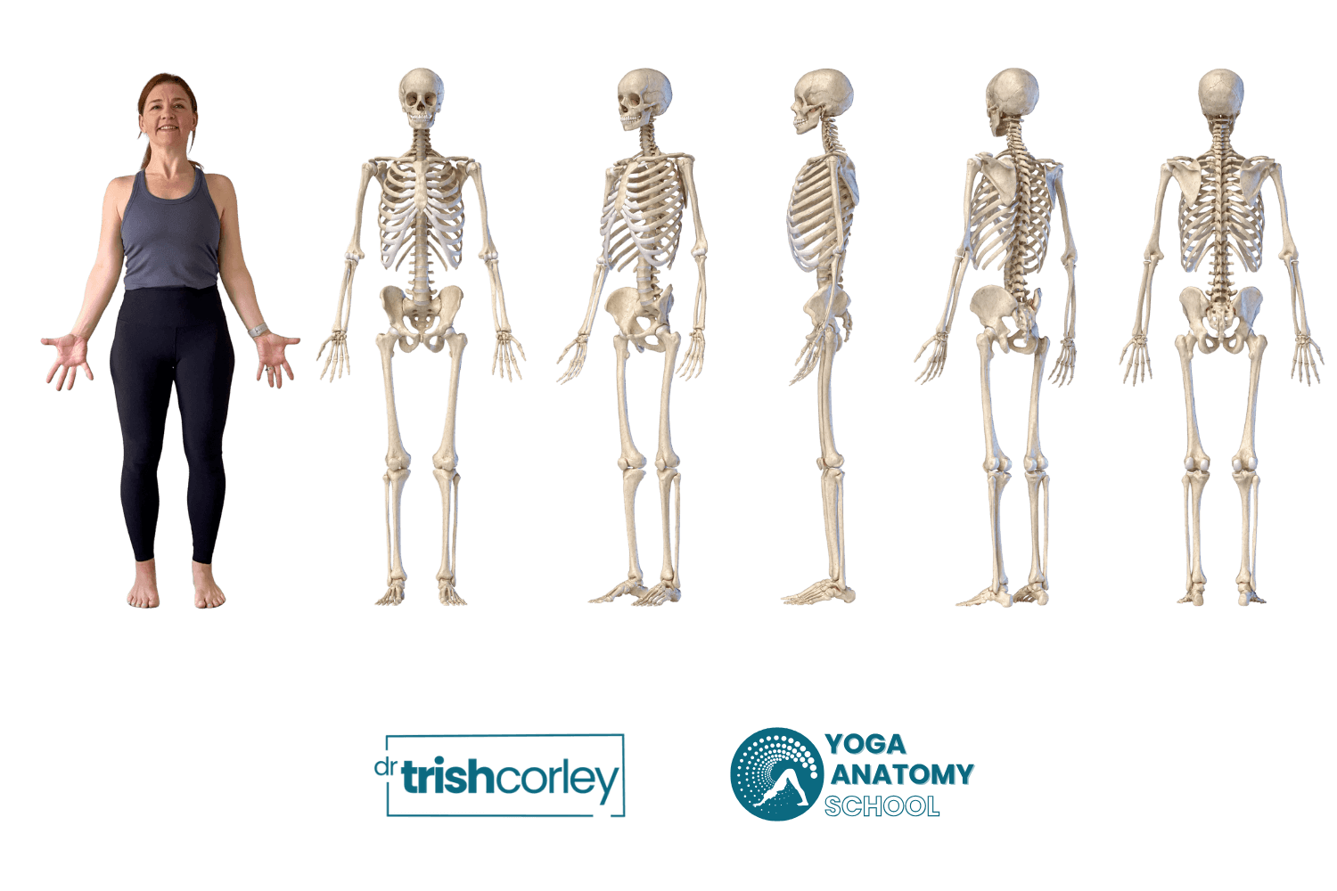 Trish in Tadasana next to graphics of skeletons in similar posture