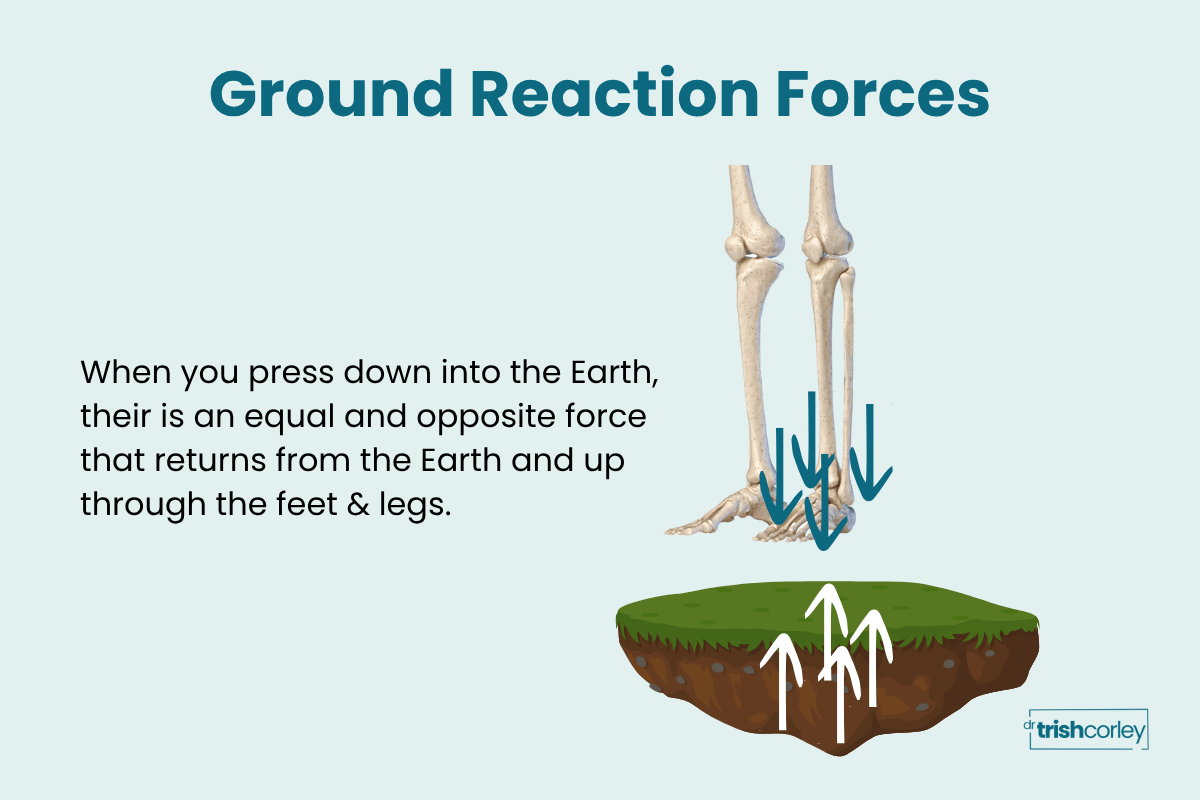 Diagram showing ground reaction force traveling up through the feet and legs in yoga